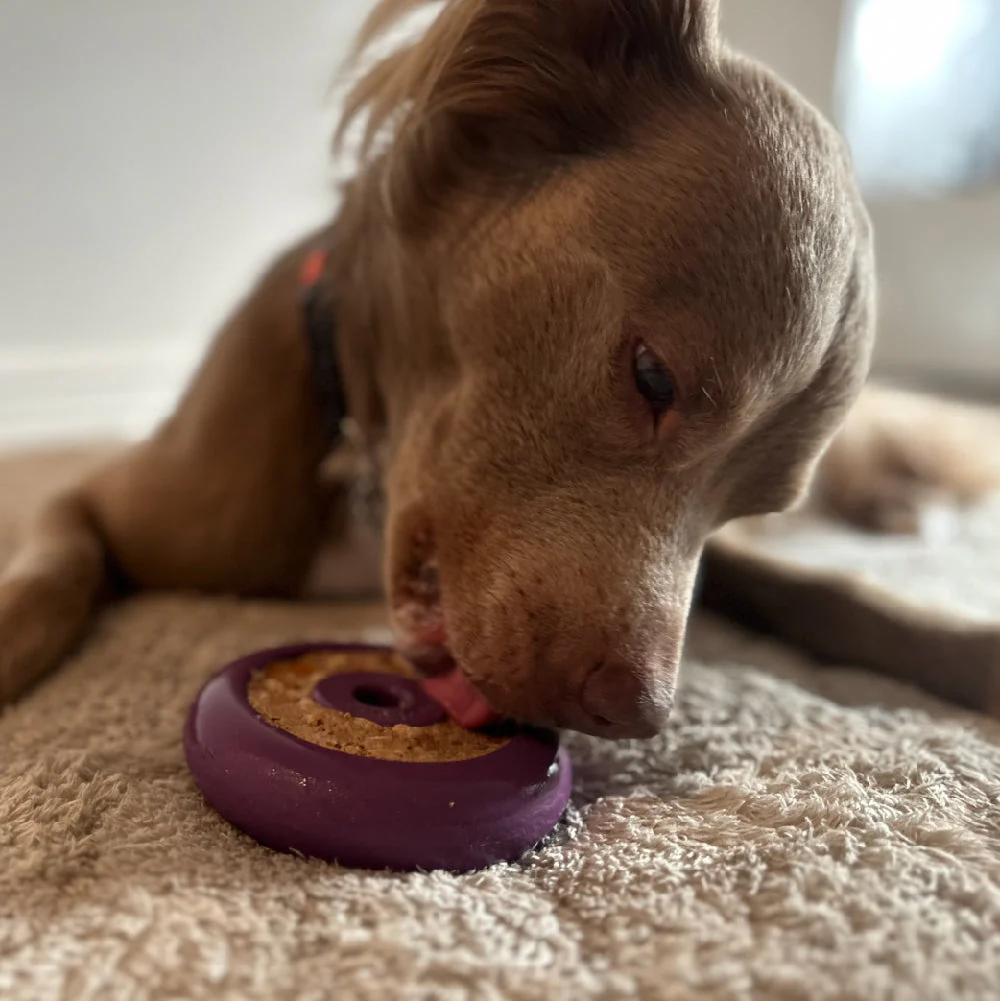 Freez Doughnut - Super Durable Treat Toy - Image 5