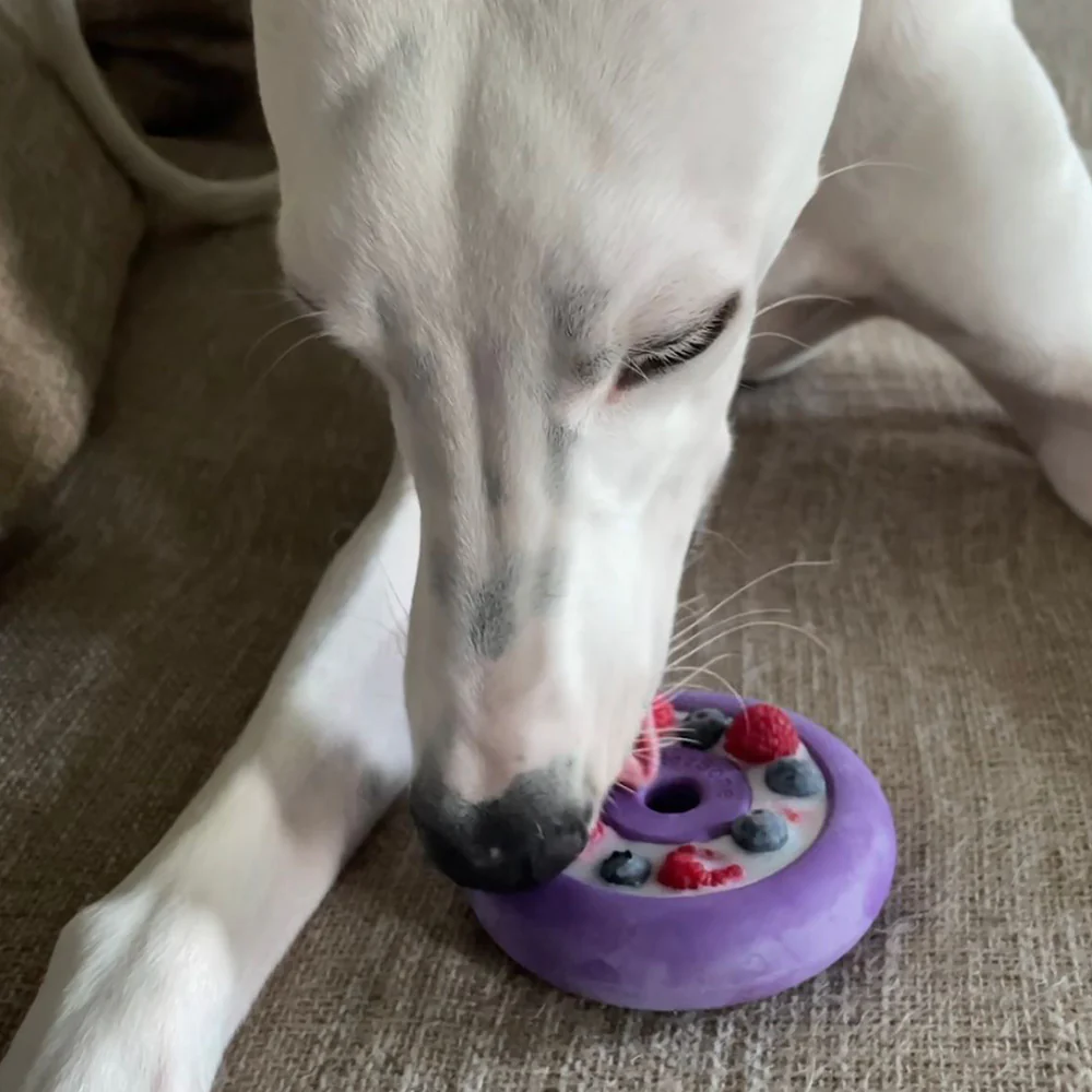 Freez Doughnut - Super Durable Treat Toy - Image 7