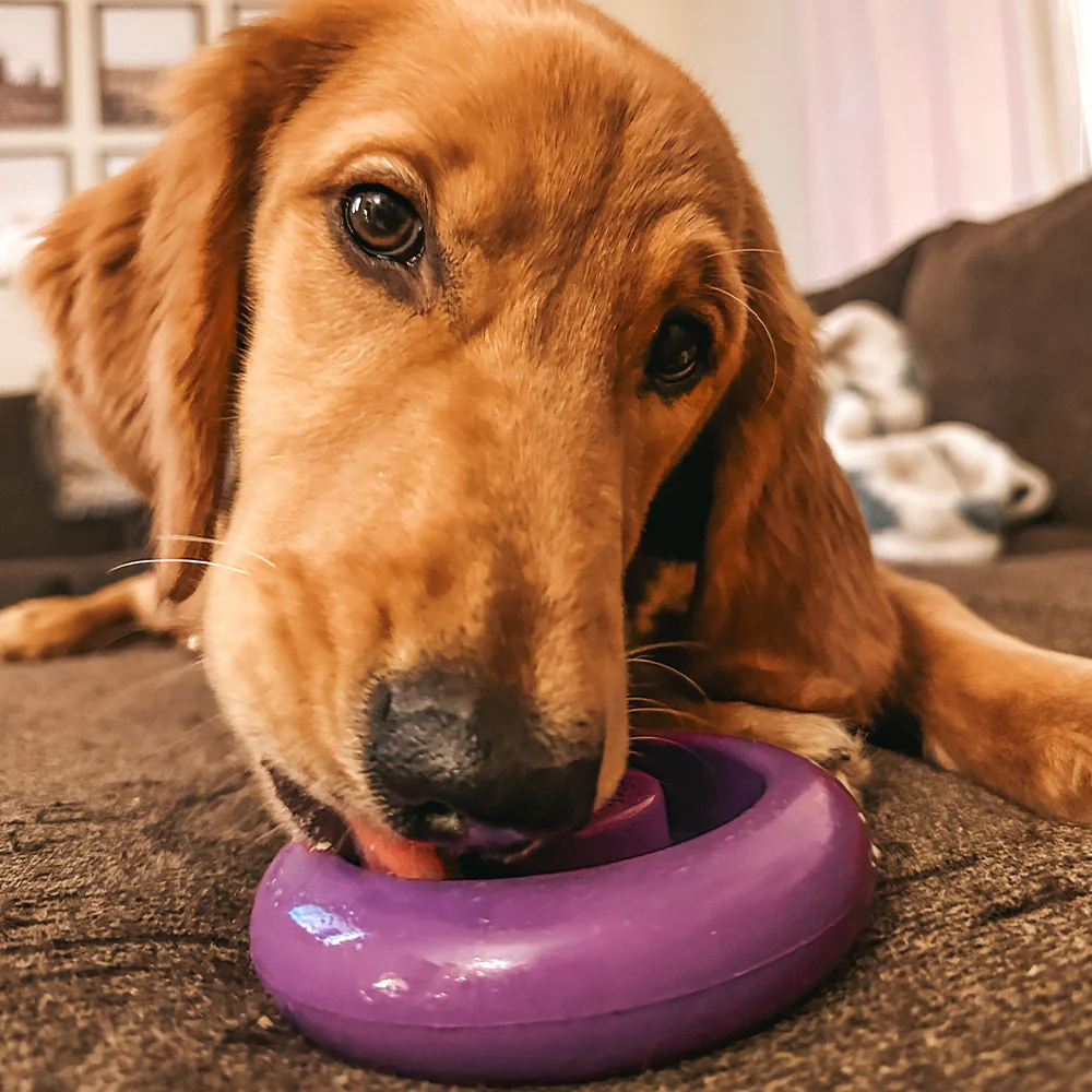 Freez Doughnut - Super Durable Treat Toy - Image 8