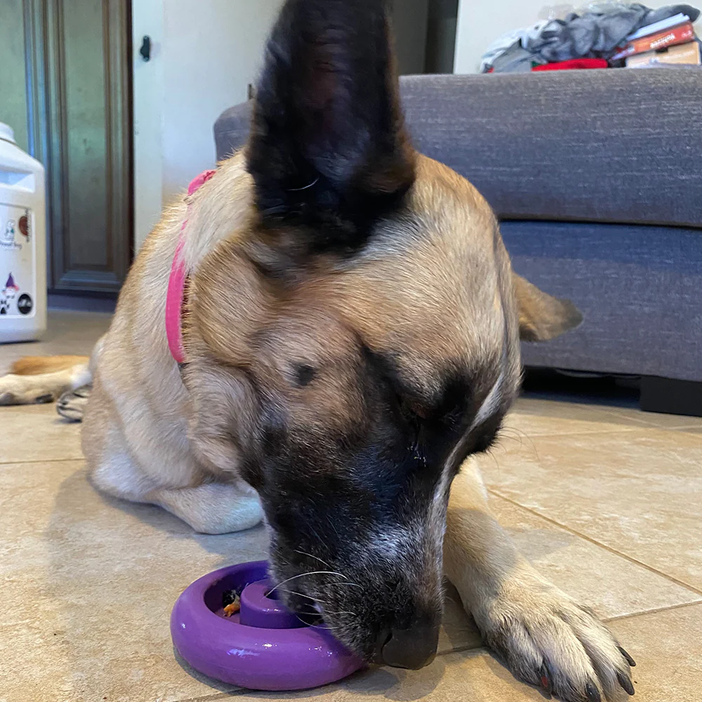 Freez Doughnut - Super Durable Treat Toy - Image 9