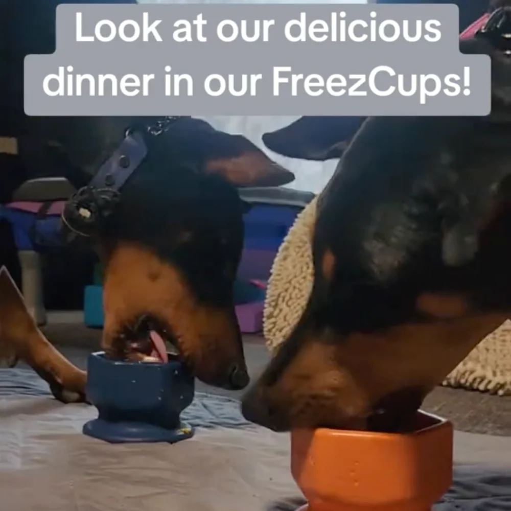 FreezCup - Long-Lasting Chew Fun - Image 8