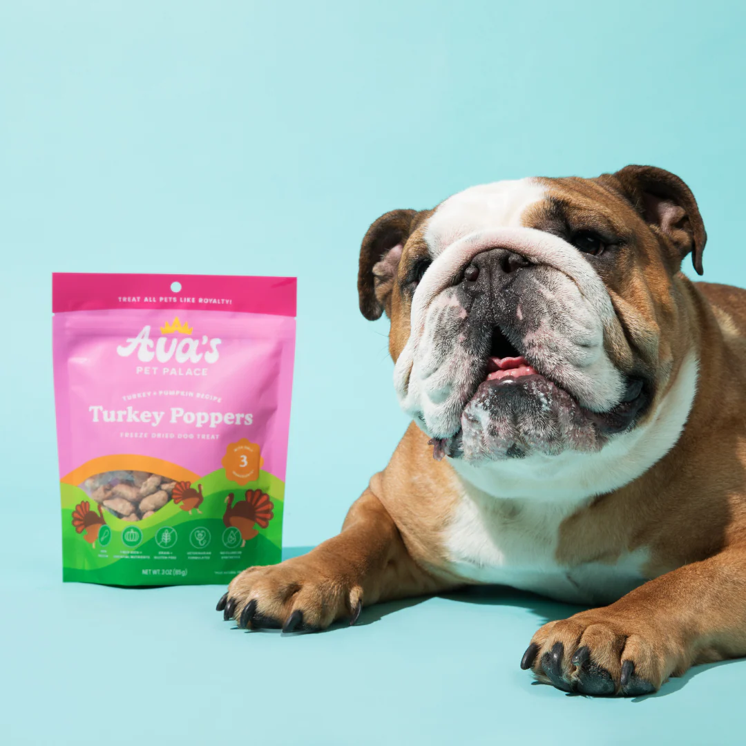 Freeze Dried Dog Treats - Turkey Poppers - Image 7