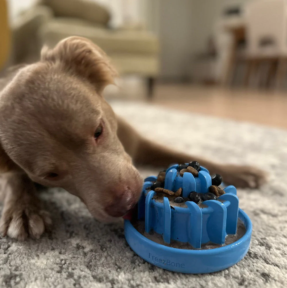 FreezLava Heavy-Duty Enrichment Chew - Image 6