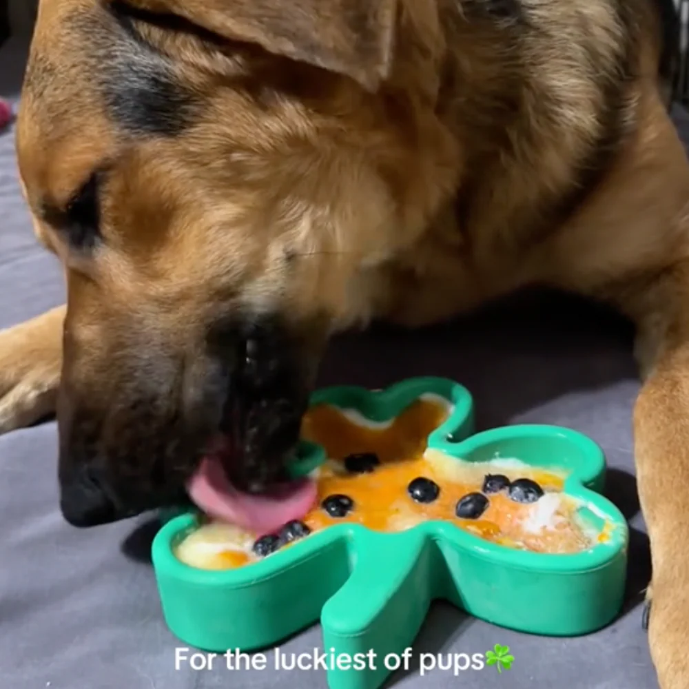 FreezShamrock - Premium Enrichment Toy - Image 4