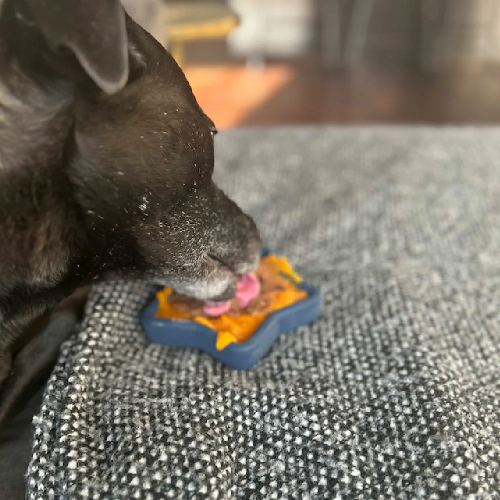 FreezStar - Long-Lasting Star Chew - Image 6