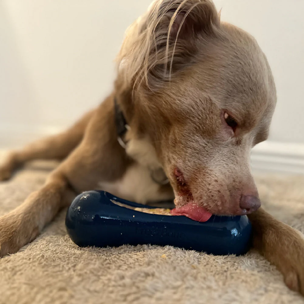 Freezstick - Indestructible Enrichment Chew - Image 4