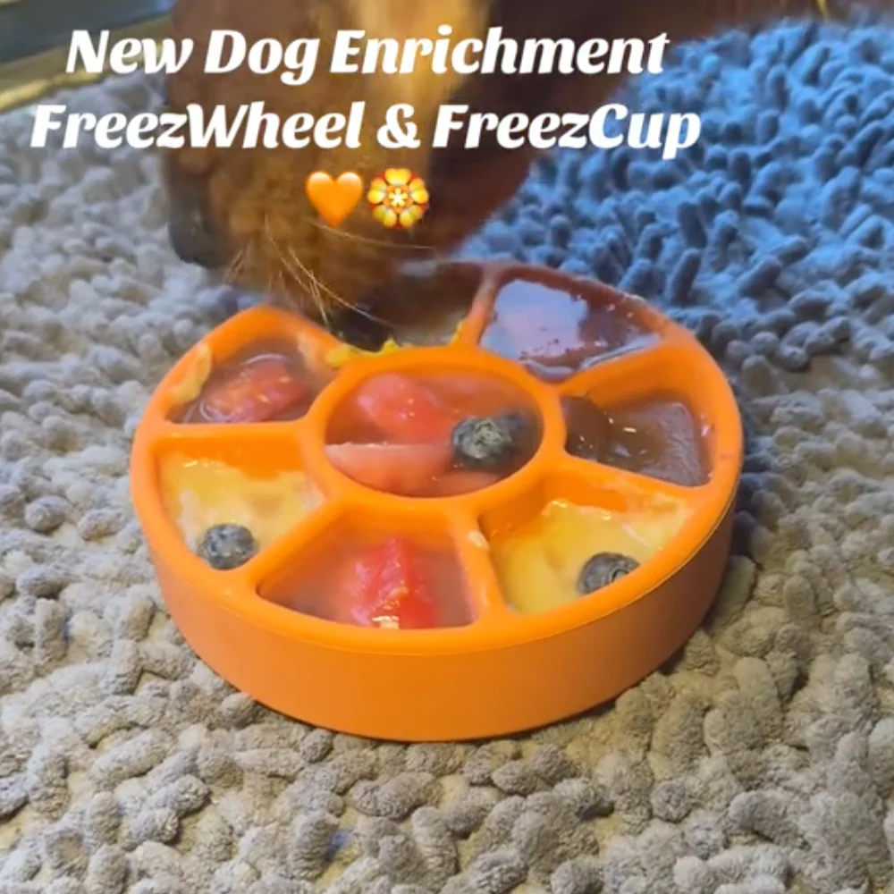 FreezWheel - Durable Interactive Chew - Image 9
