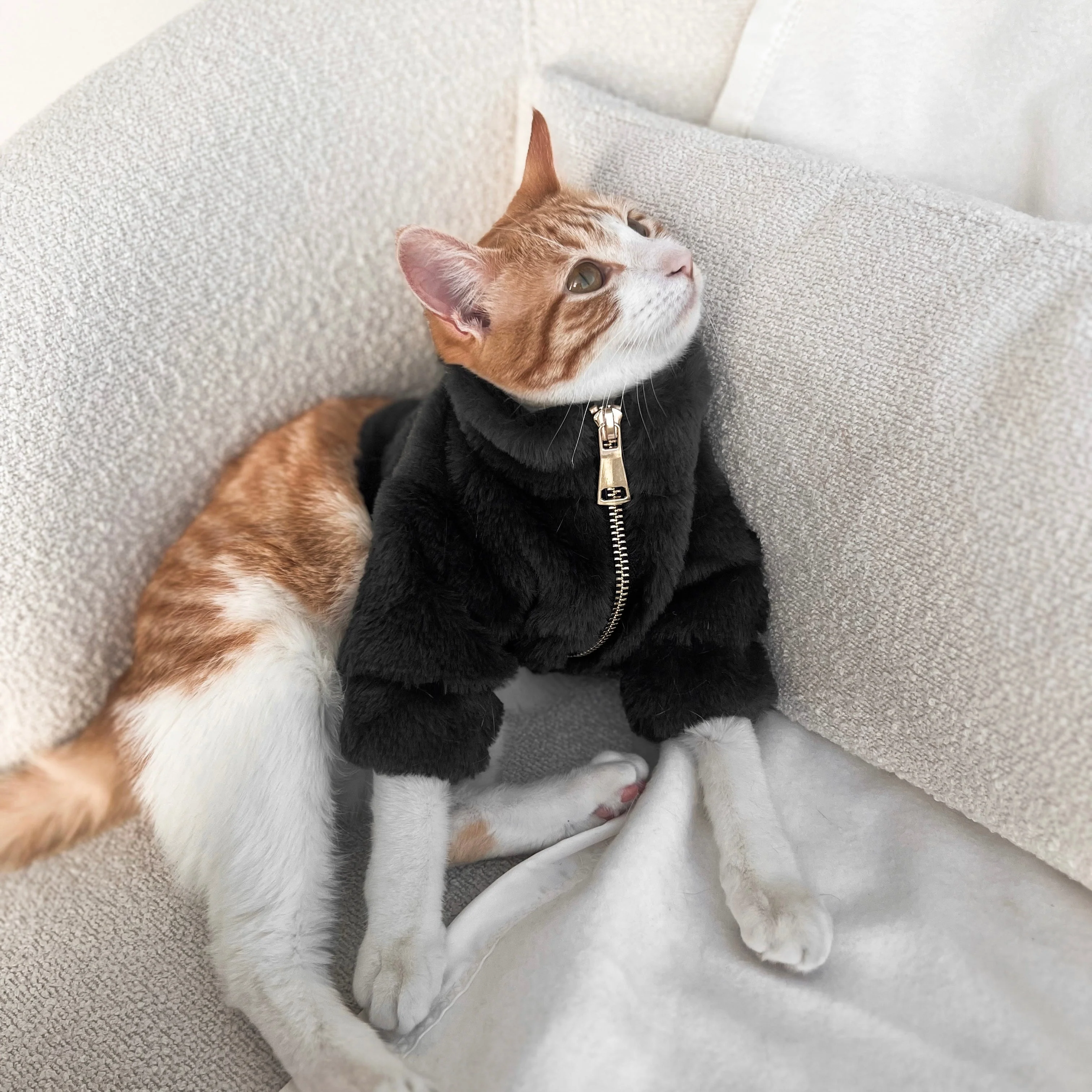 Furi Pet Coat - Noir - Image 3