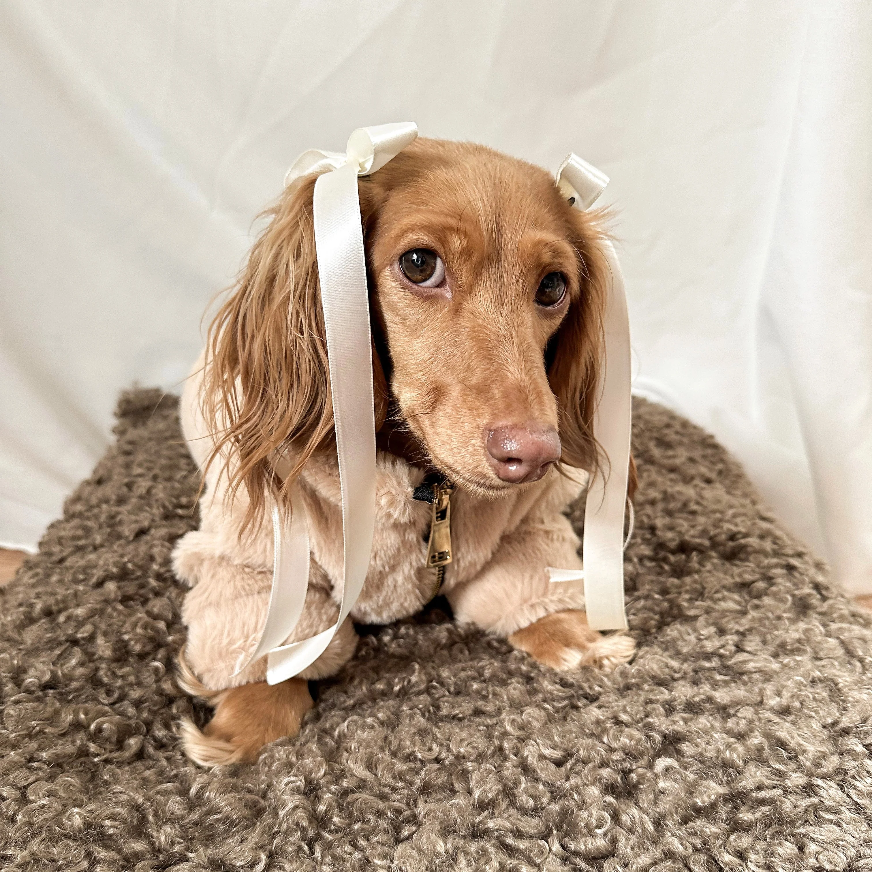 Furi Pet Coat - Sand - Image 4