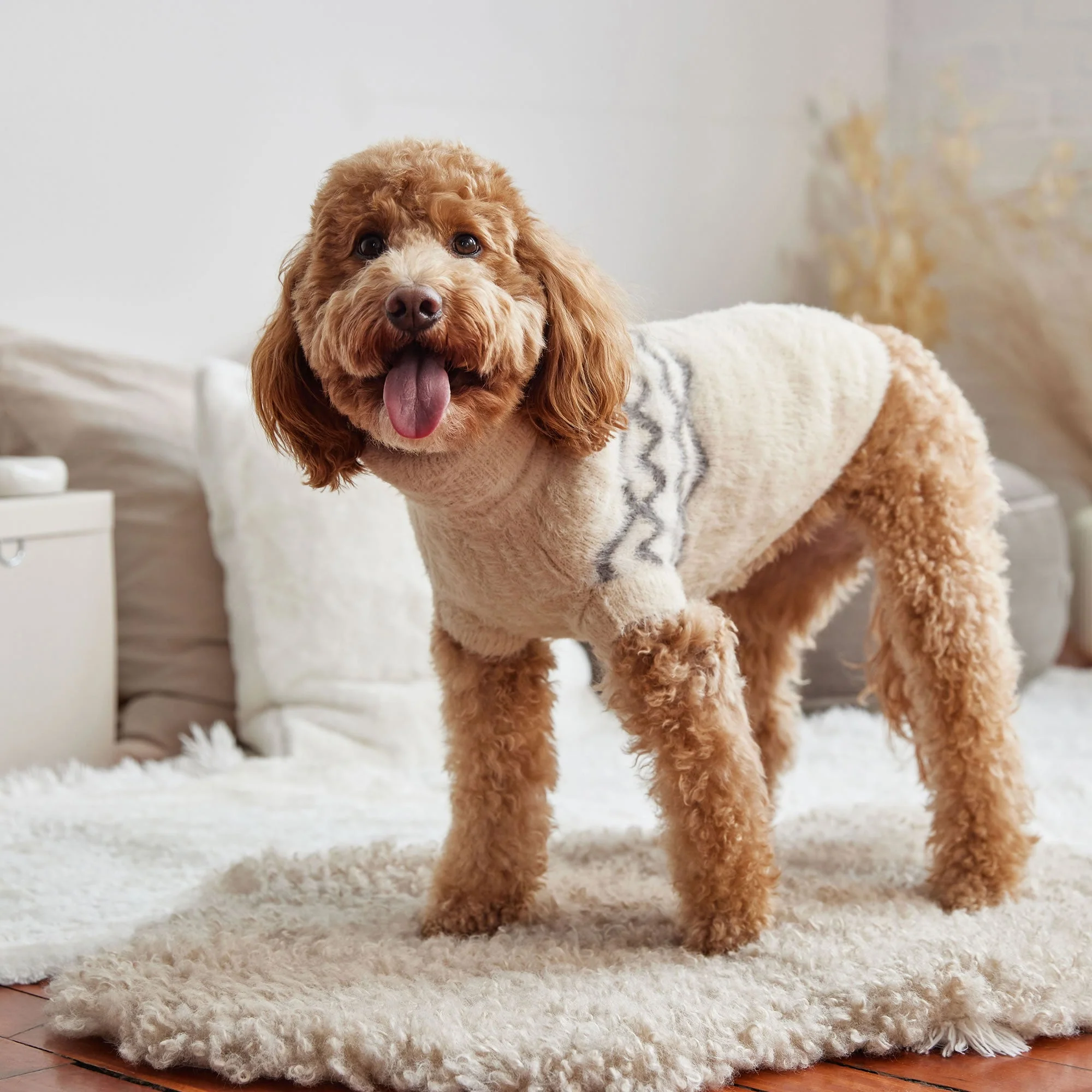 Fuzzy Sweater - Image 14
