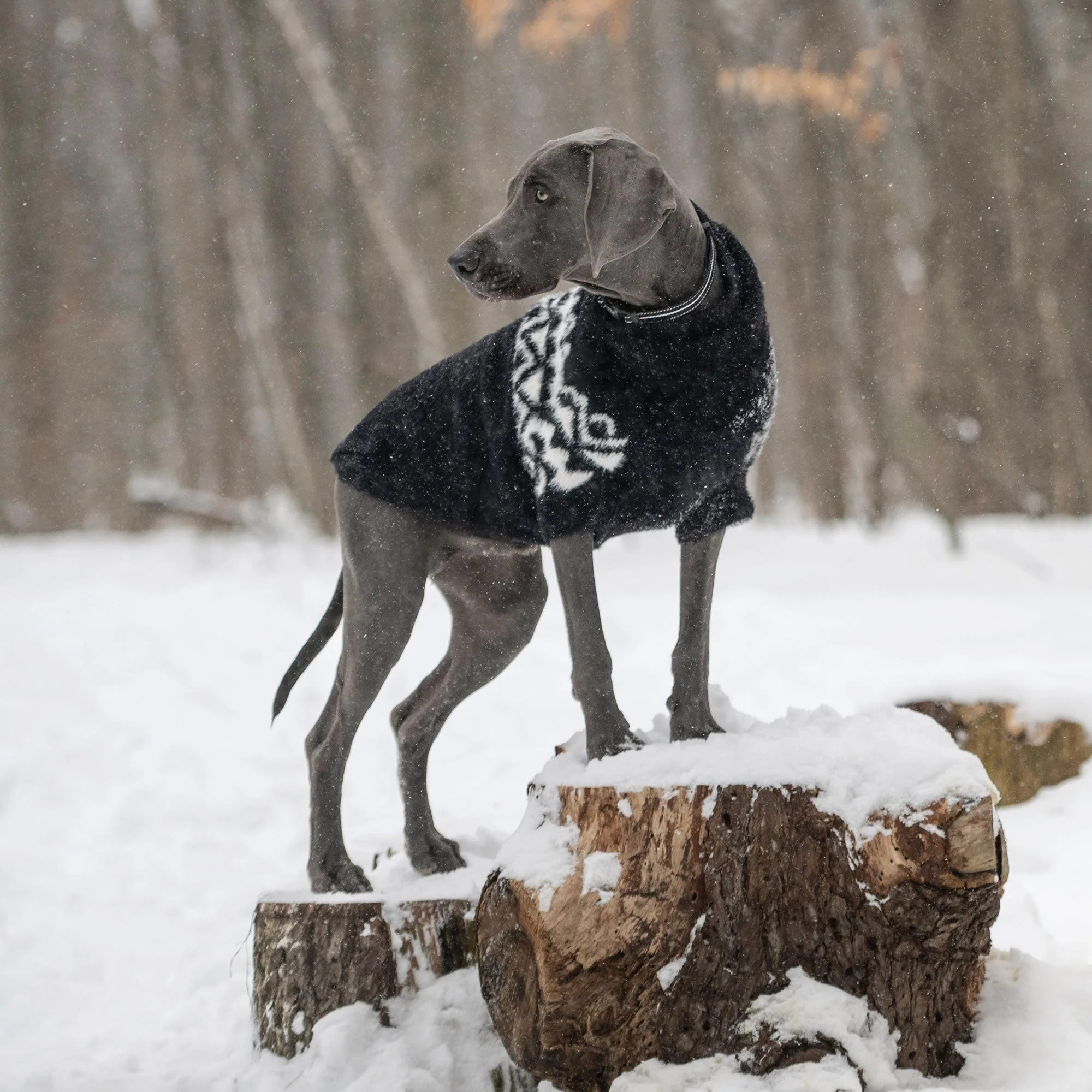 Fuzzy Sweater - Image 16