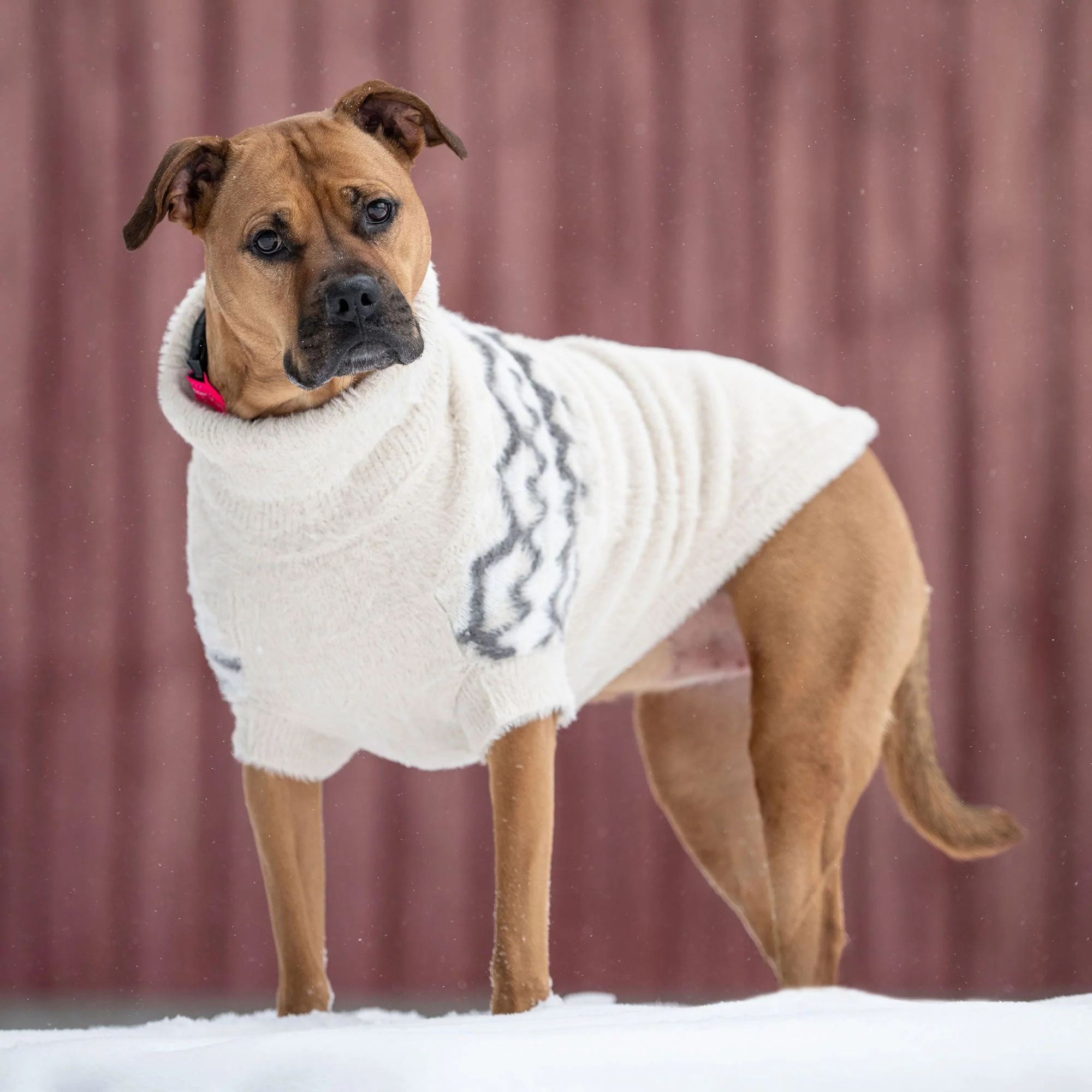 Fuzzy Sweater - Image 17