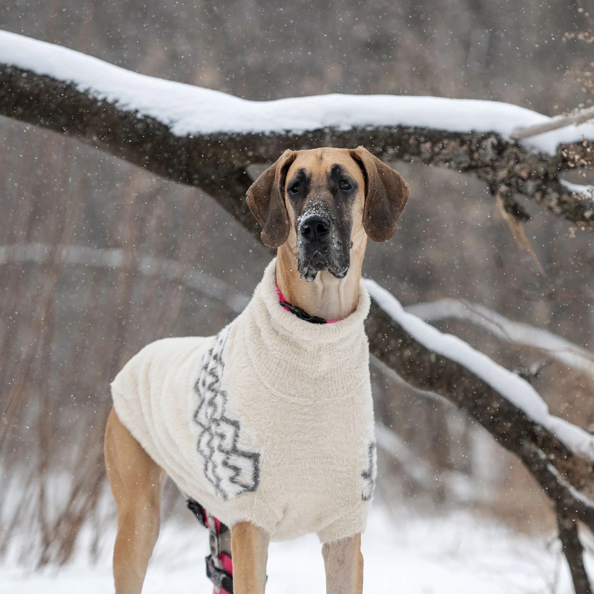 Fuzzy Sweater - Image 9