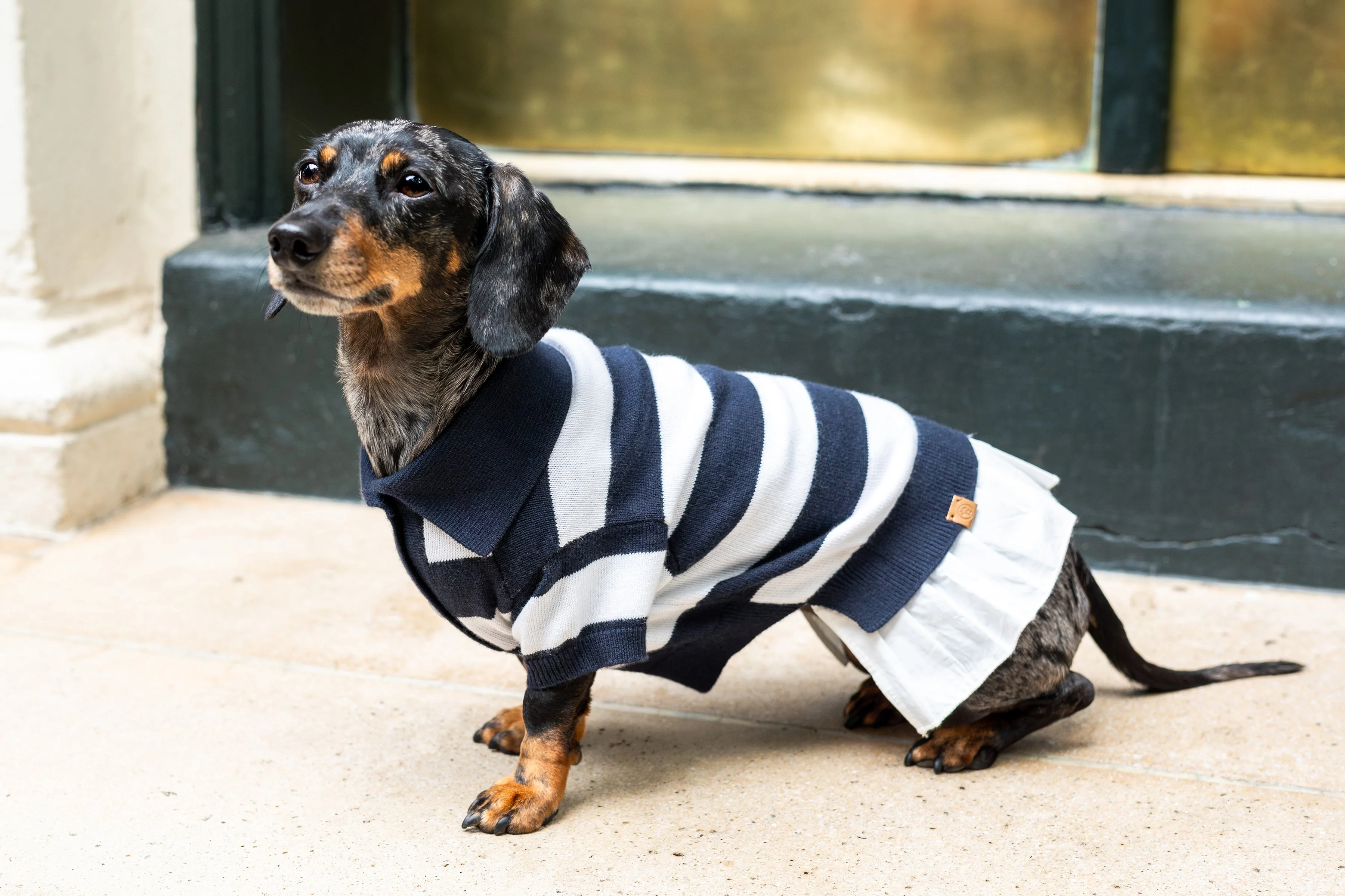 ‘Gladys’ Cashmere blend Polo Dress - Image 3
