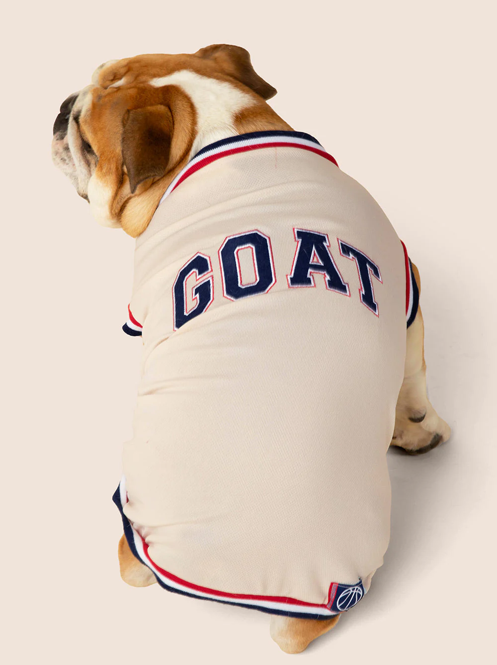 GOAT Jersey - Image 2
