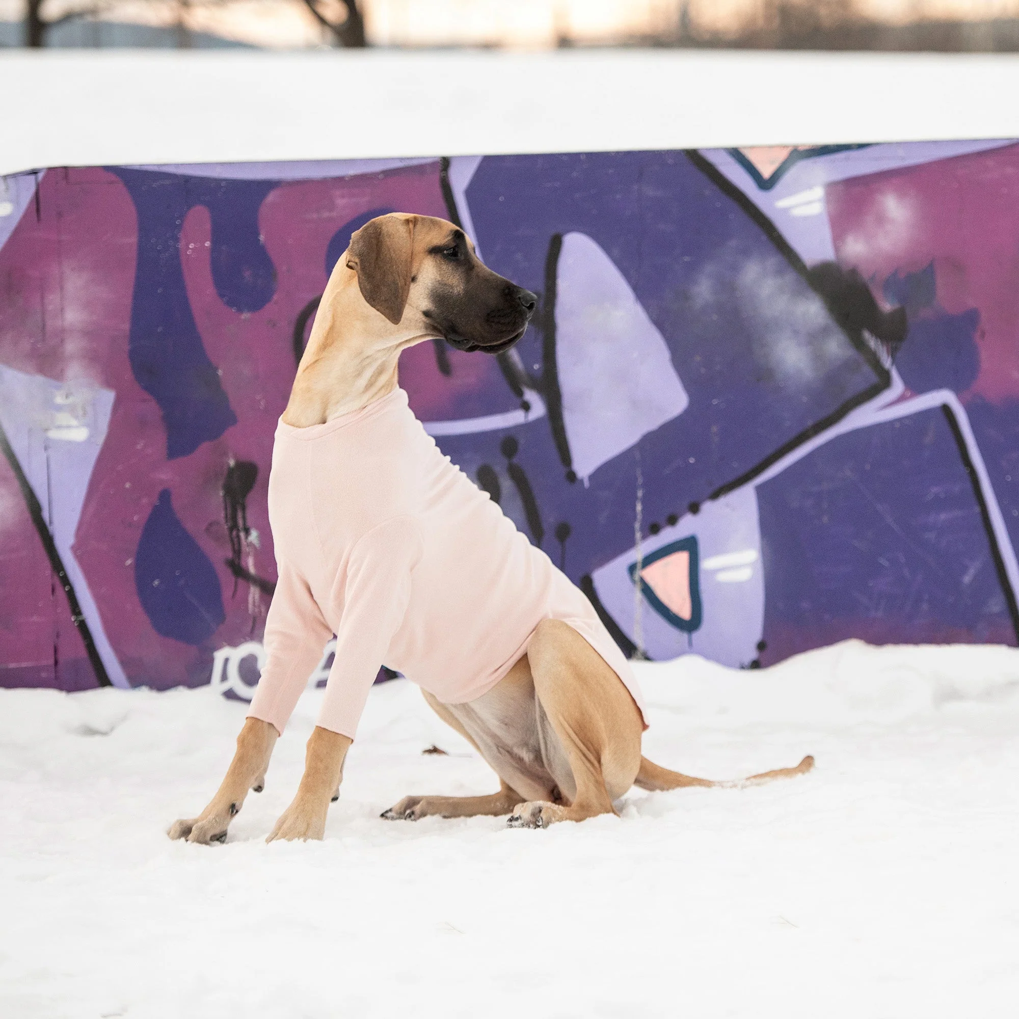 Gondola Base Layer - Pink - Image 5