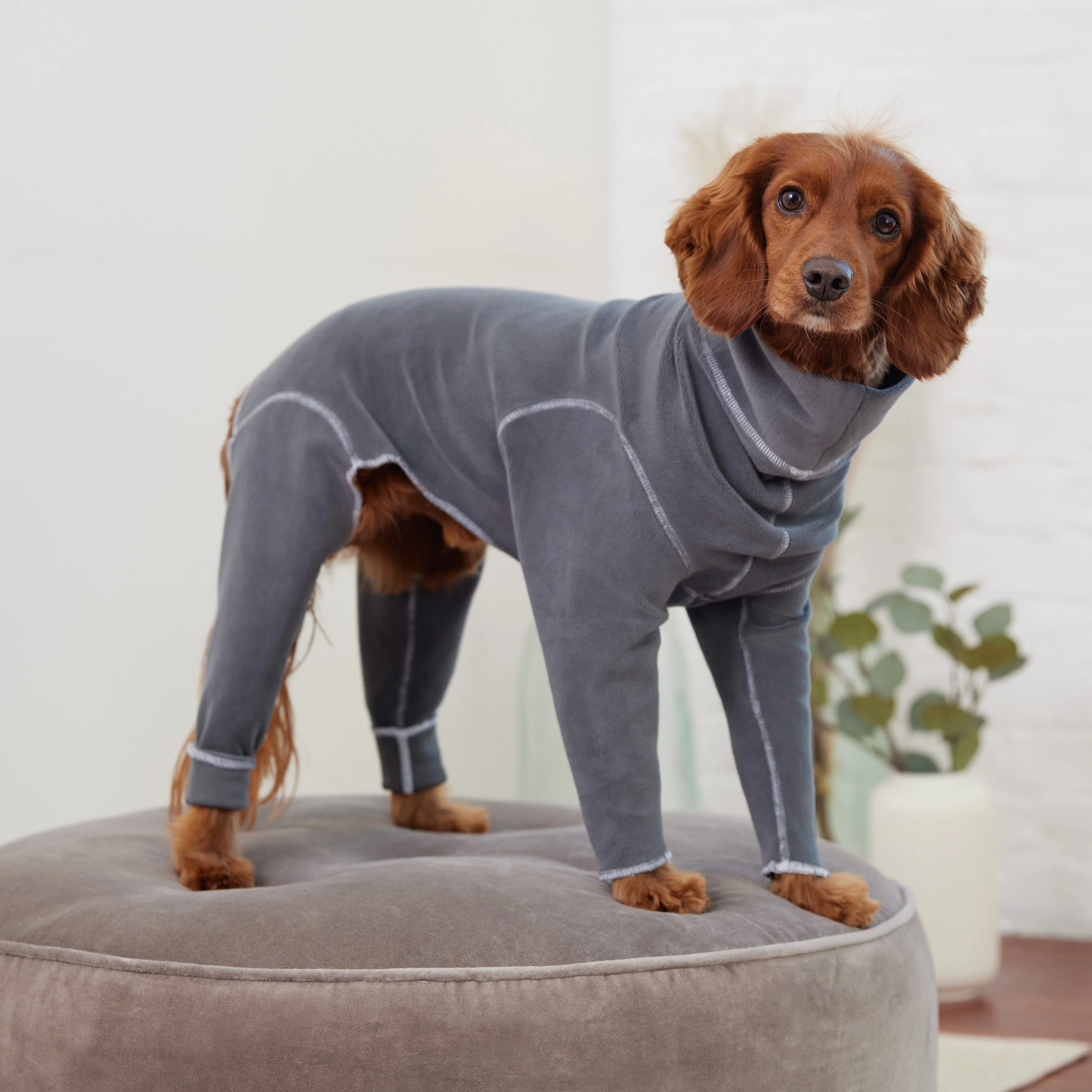 Gondola Onesie - Charcoal - Image 5