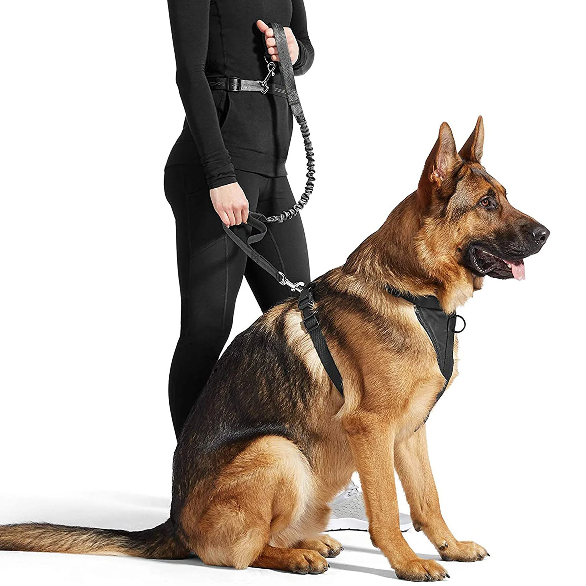 Jespet Bungee Reflective Leash - Image 5