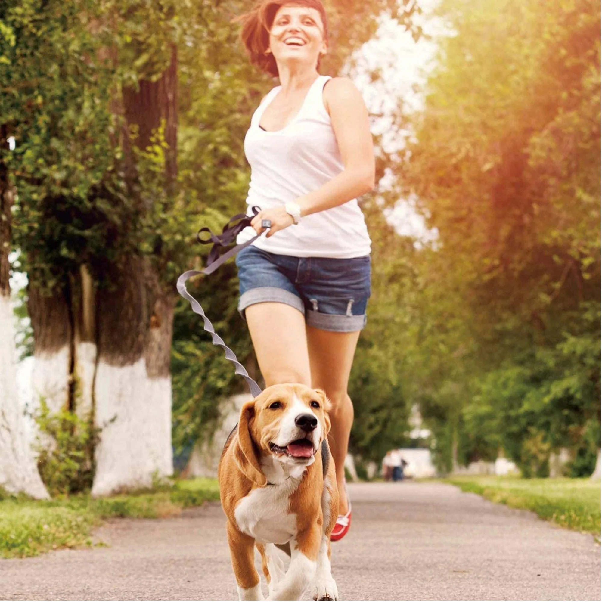 Jespet Bungee Reflective Leash - Image 6