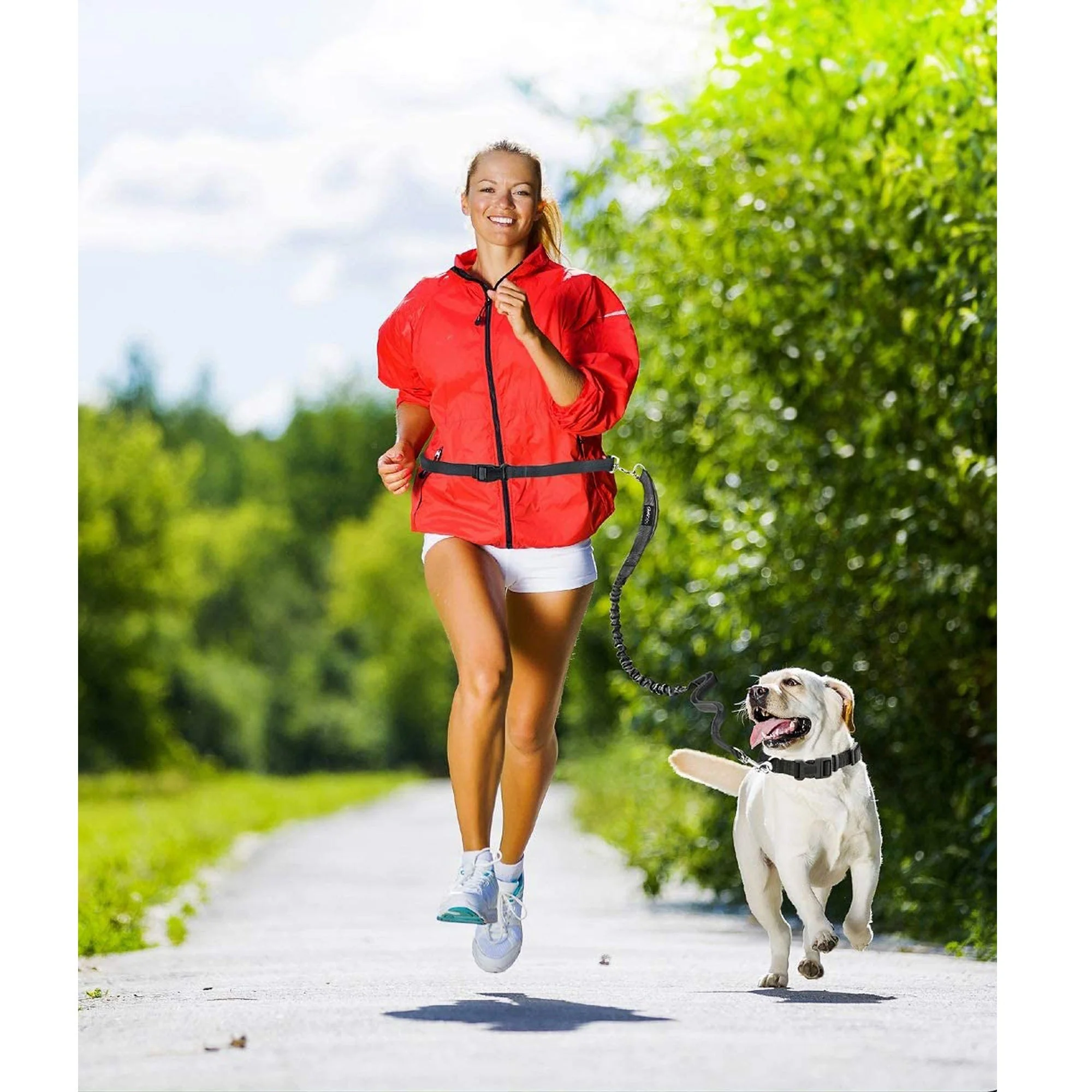 GOOPAWS No Pull Hand Free Bungee Dog Leash for Hiking, Running, Red - Image 7