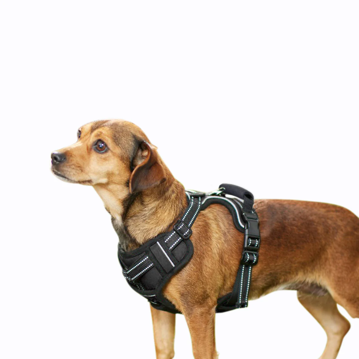 GOOPAWS Padded Reflective Pet Dog Harness, Lightweight Ripstop, Black - Image 10
