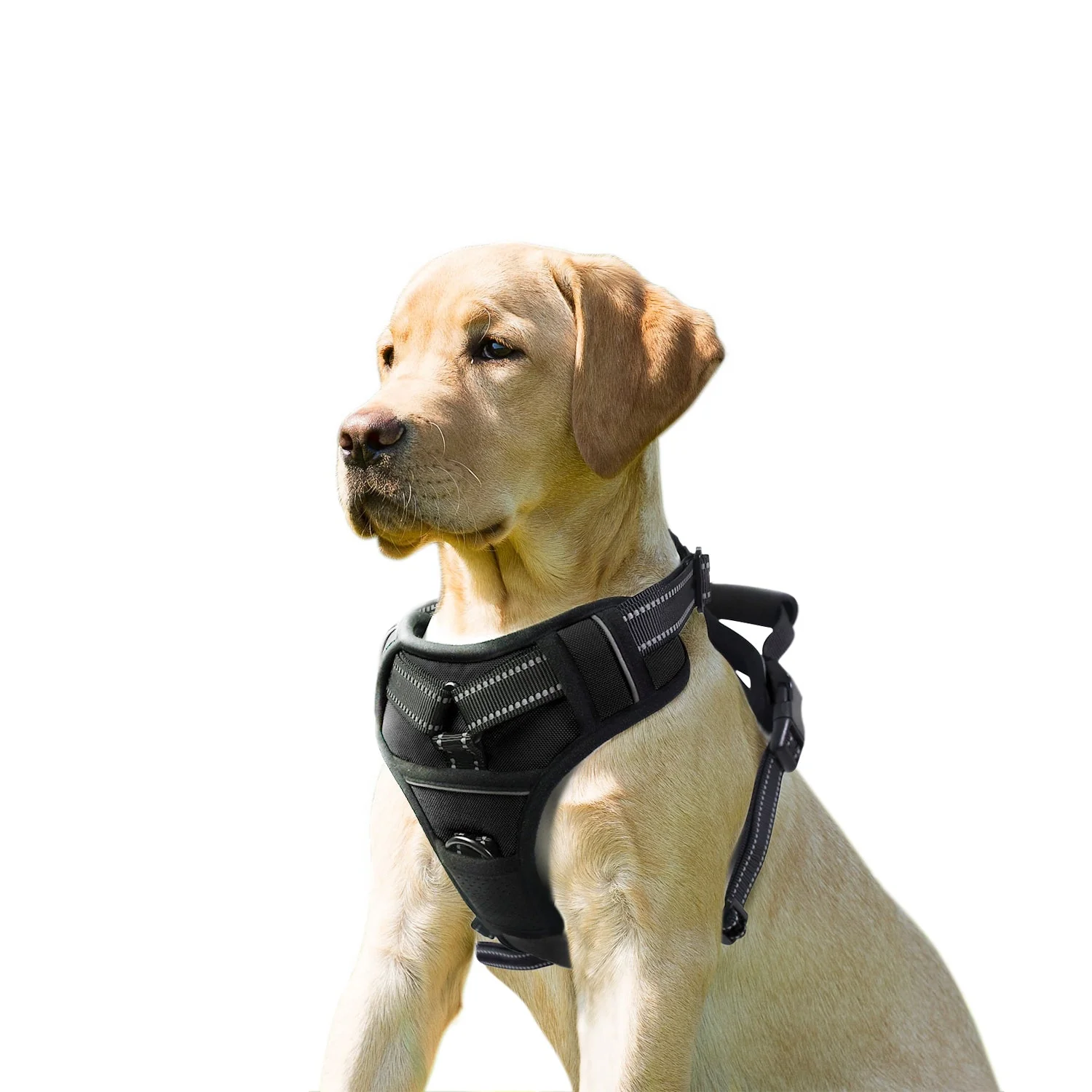 GOOPAWS Padded Reflective Pet Dog Harness, Lightweight Ripstop, Black - Image 11