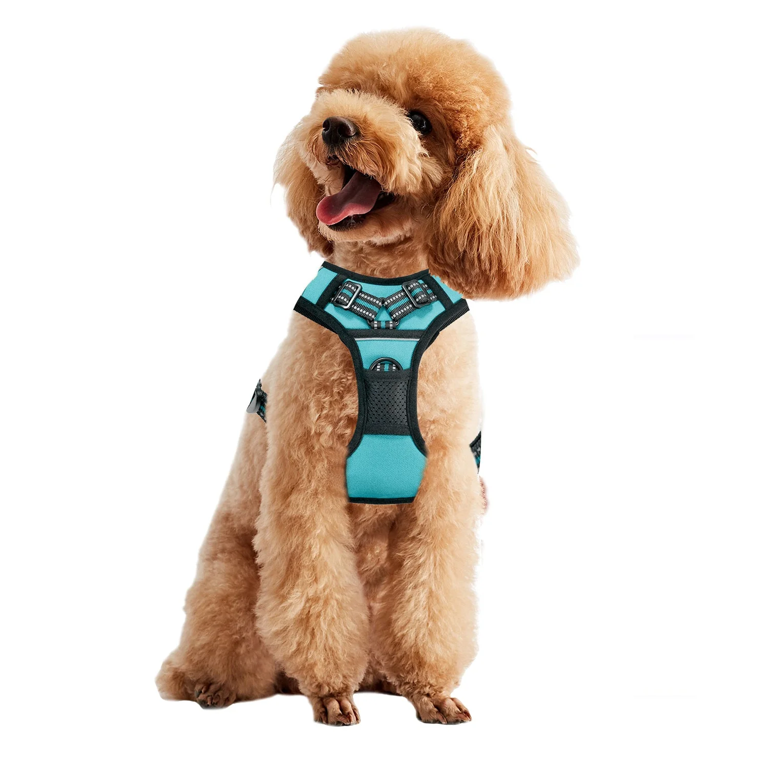 GOOPAWS Padded Reflective Pet Dog Harness, Lightweight Ripstop, Blue - Image 10