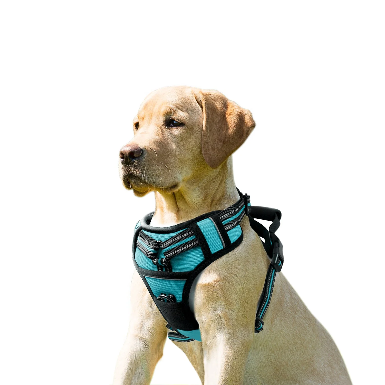 GOOPAWS Padded Reflective Pet Dog Harness, Lightweight Ripstop, Blue - Image 12