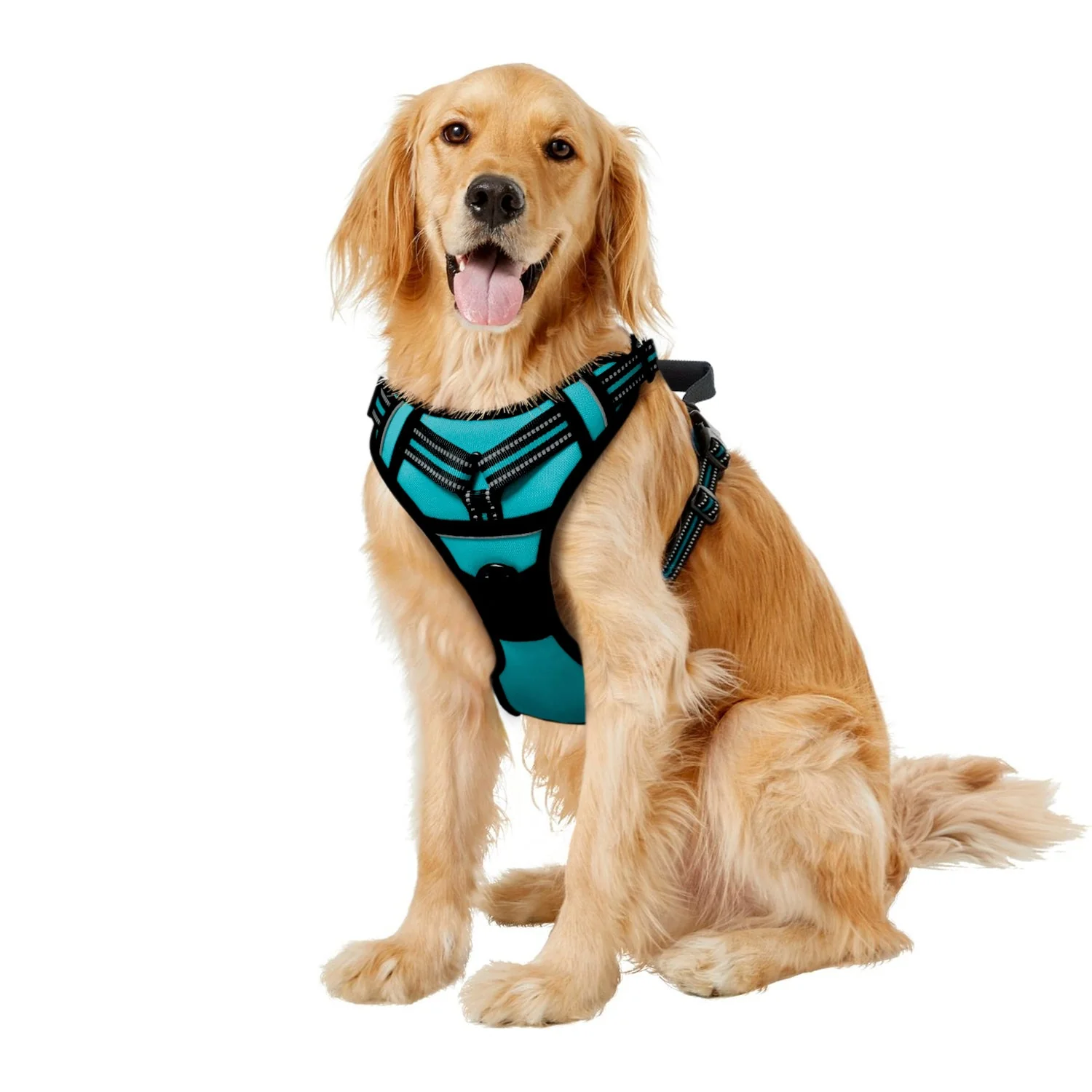GOOPAWS Padded Reflective Pet Dog Harness, Lightweight Ripstop, Blue - Image 2