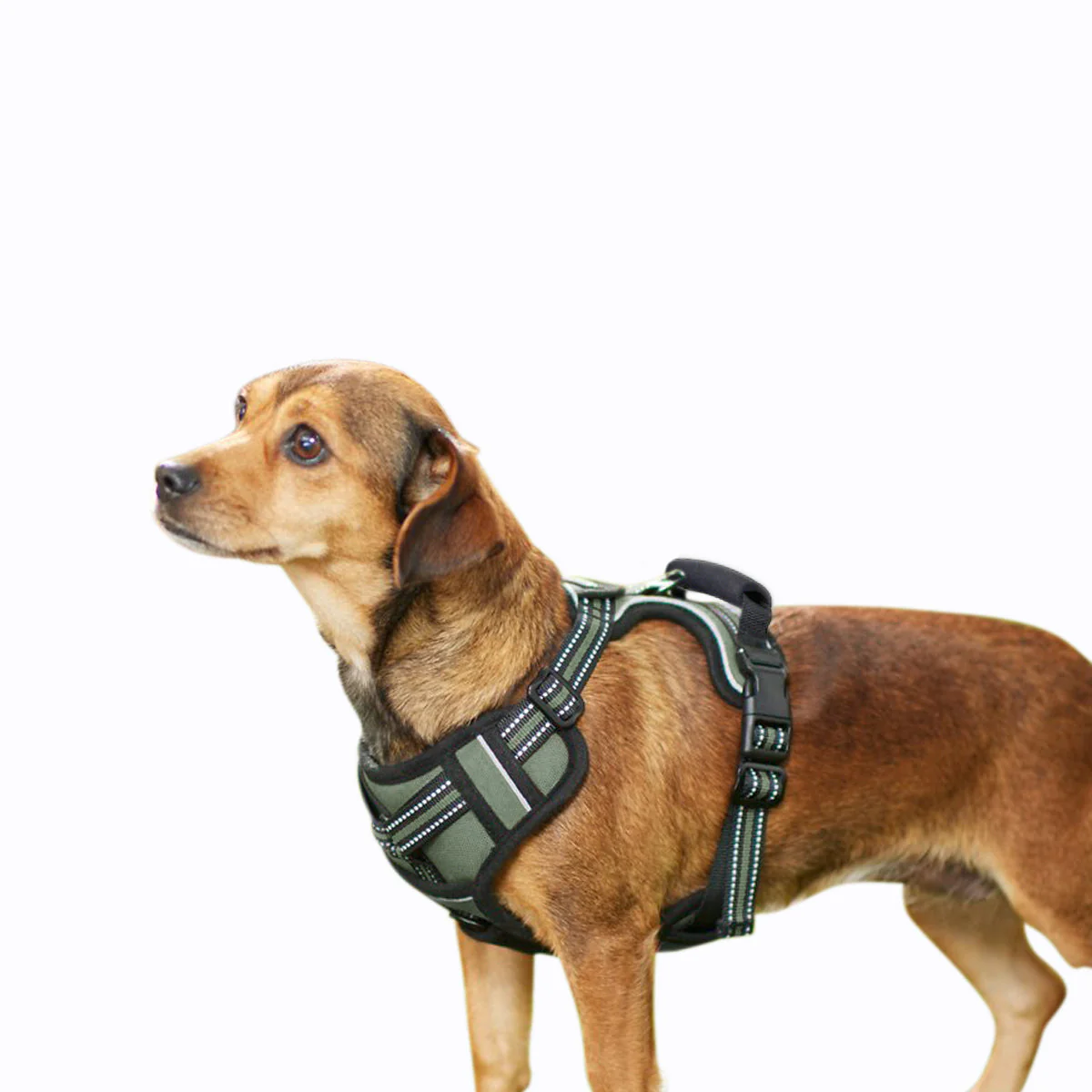 GOOPAWS Padded Reflective Pet Dog Harness, Lightweight Ripstop, Green - Image 10