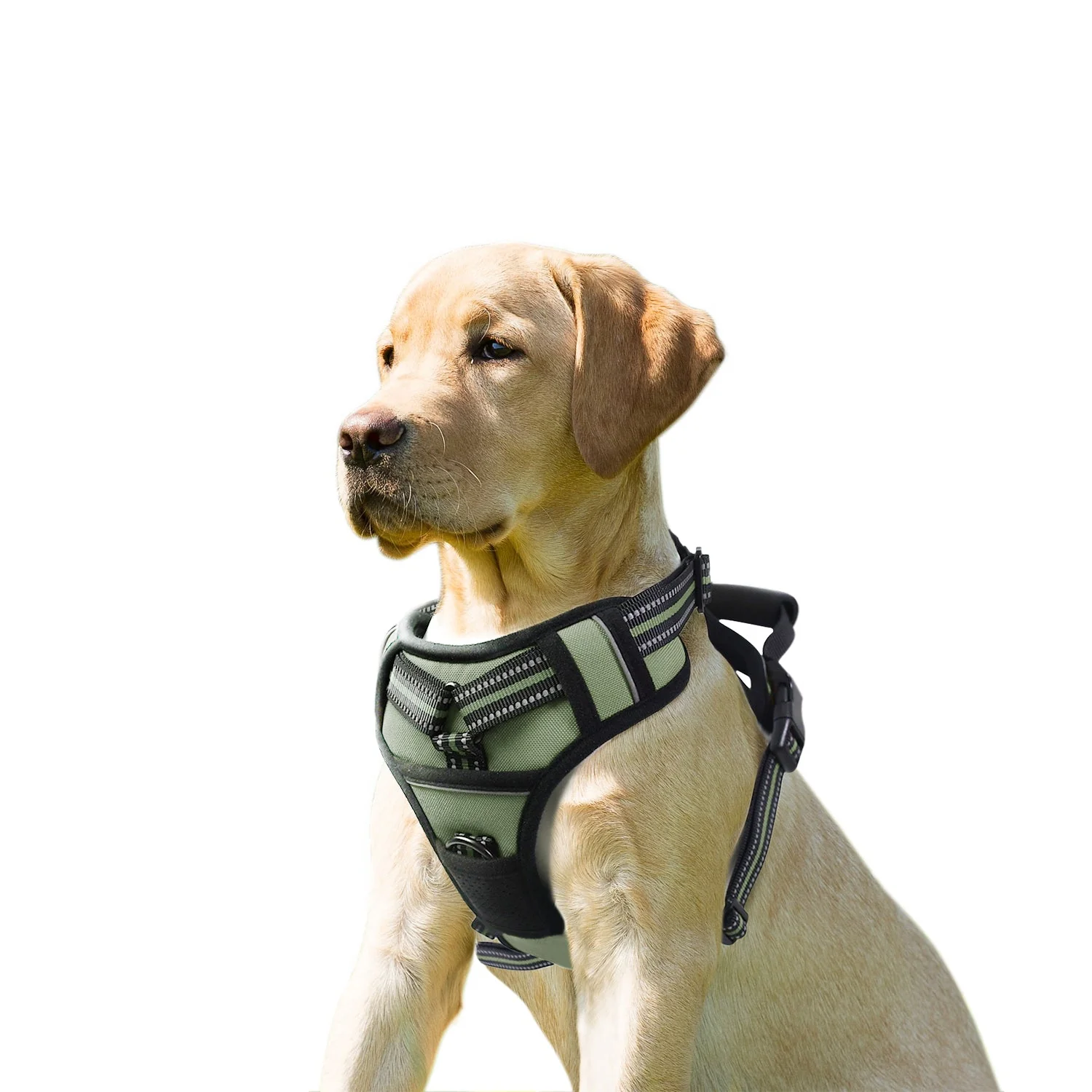 GOOPAWS Padded Reflective Pet Dog Harness, Lightweight Ripstop, Green - Image 2