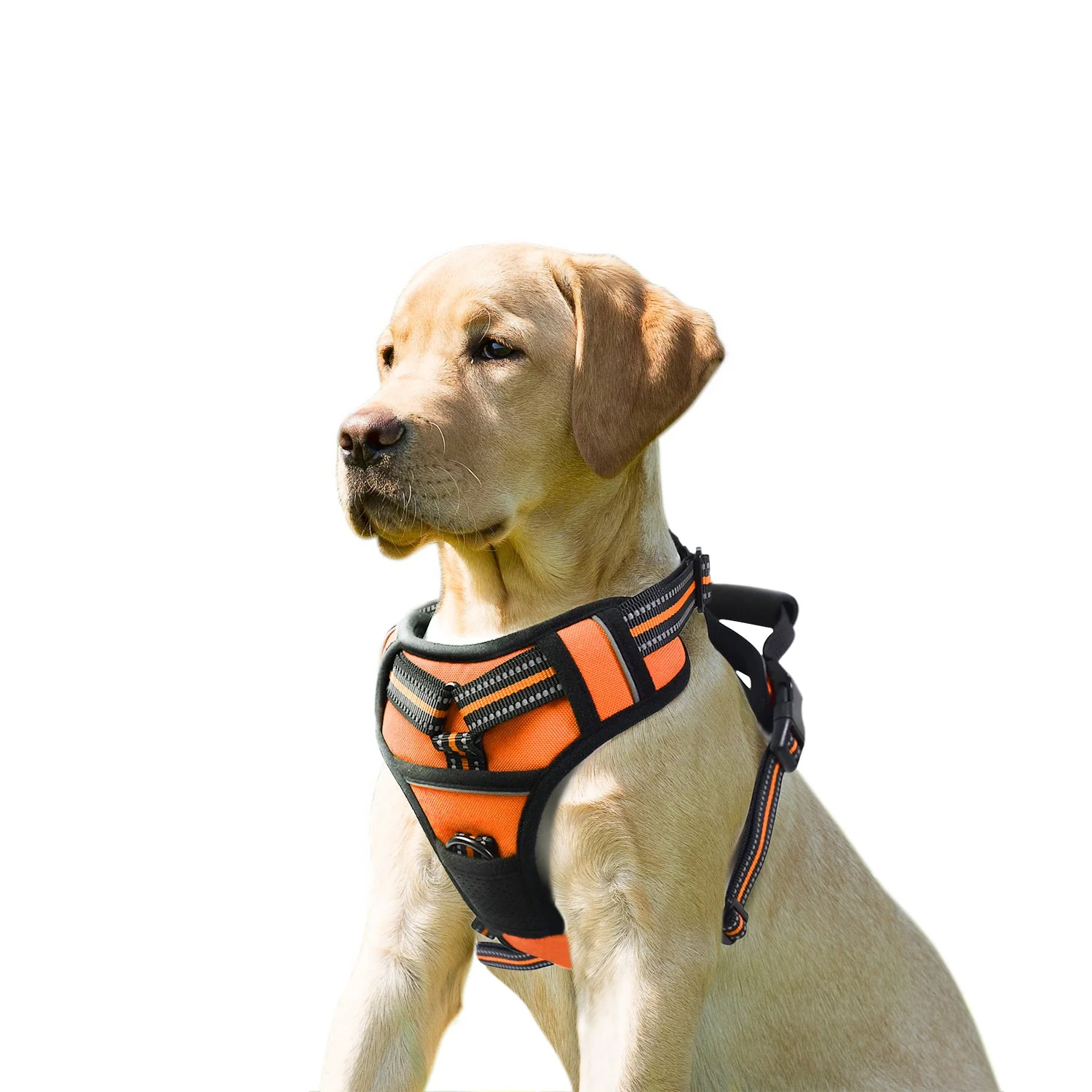 GOOPAWS Padded Reflective Pet Dog Harness, Lightweight Ripstop, Orange - Image 11