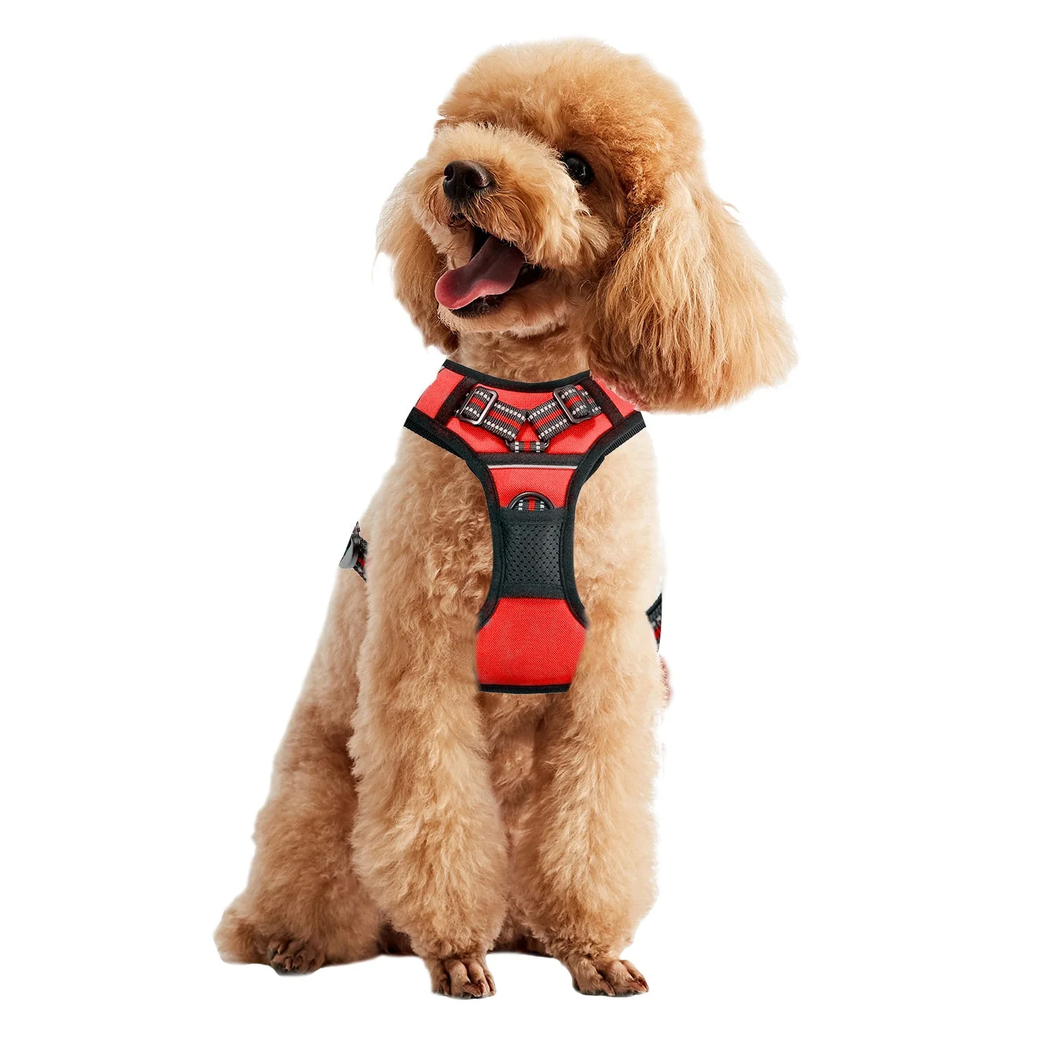 GOOPAWS Padded Reflective Pet Dog Harness, Lightweight Ripstop, Red - Image 10