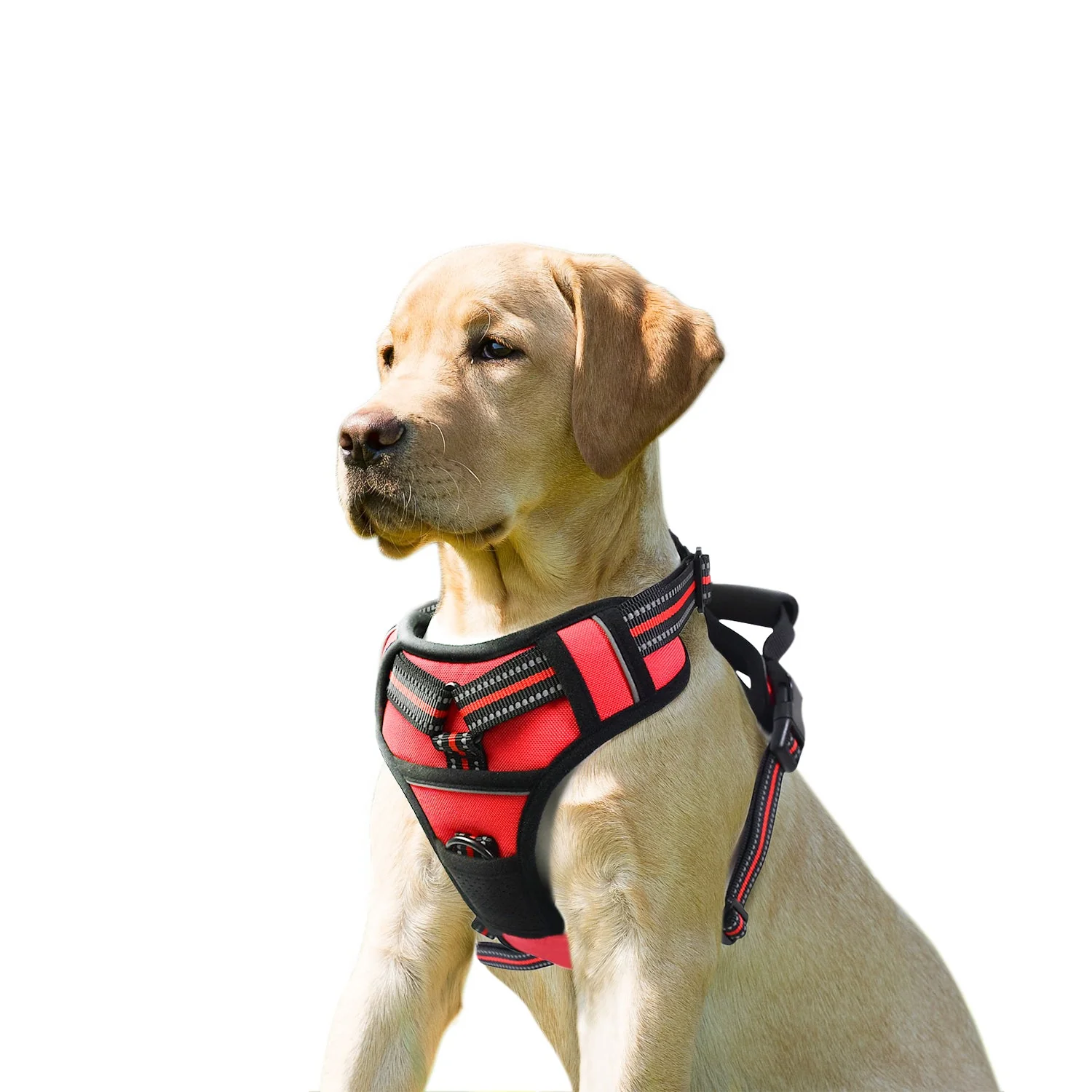 GOOPAWS Padded Reflective Pet Dog Harness, Lightweight Ripstop, Red - Image 2