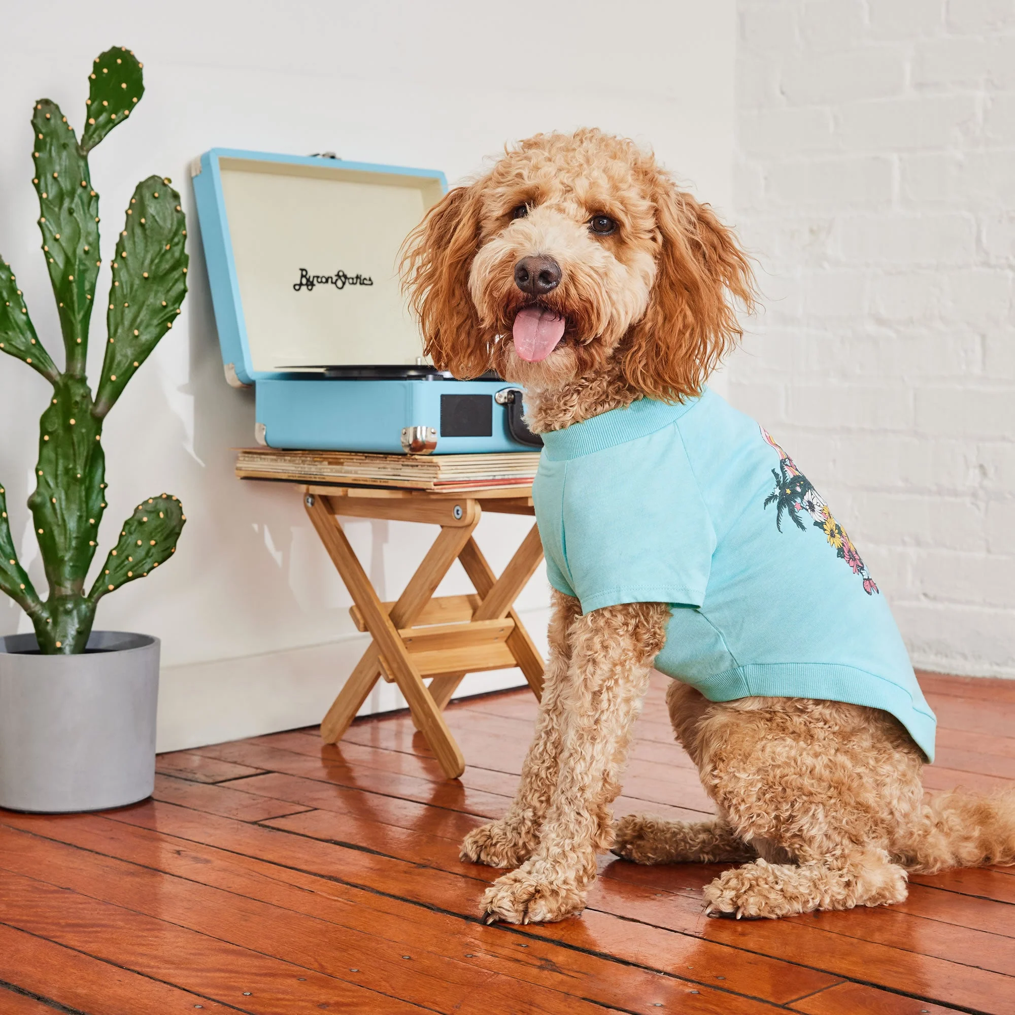 Graphic Tee - Aqua - Image 6