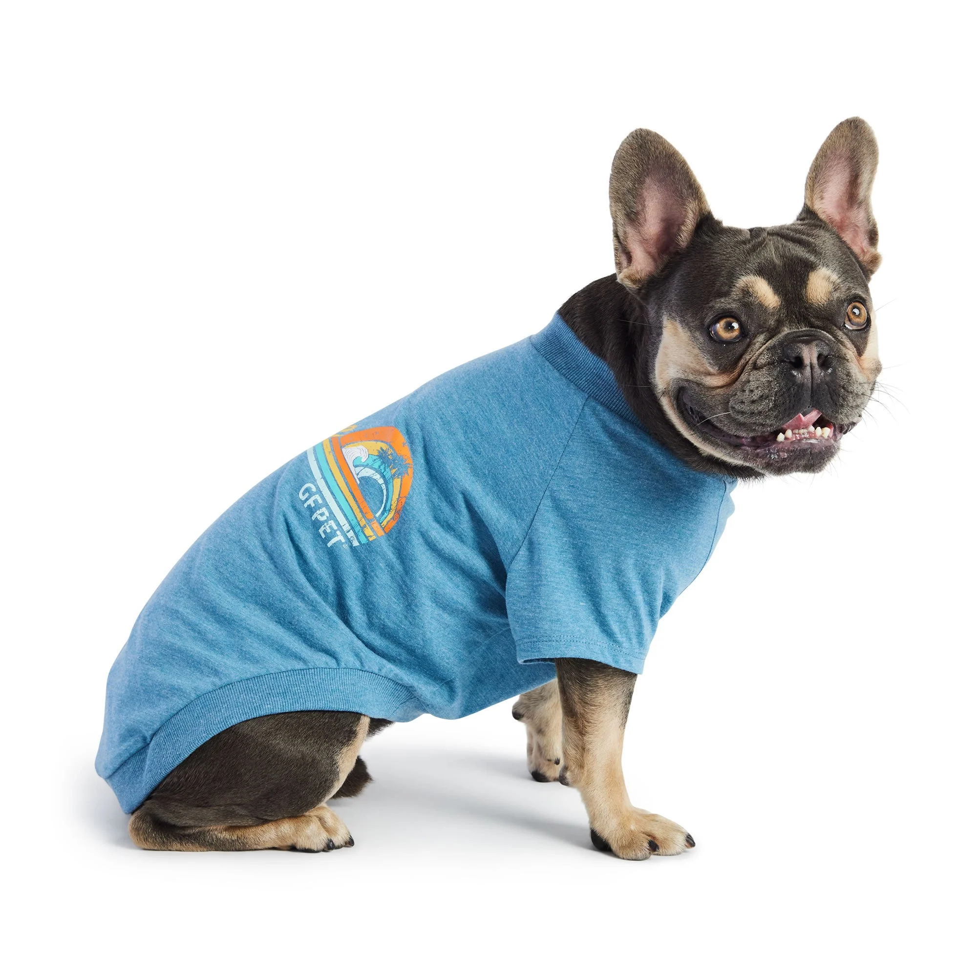 Graphic Tee - Blue - Image 4
