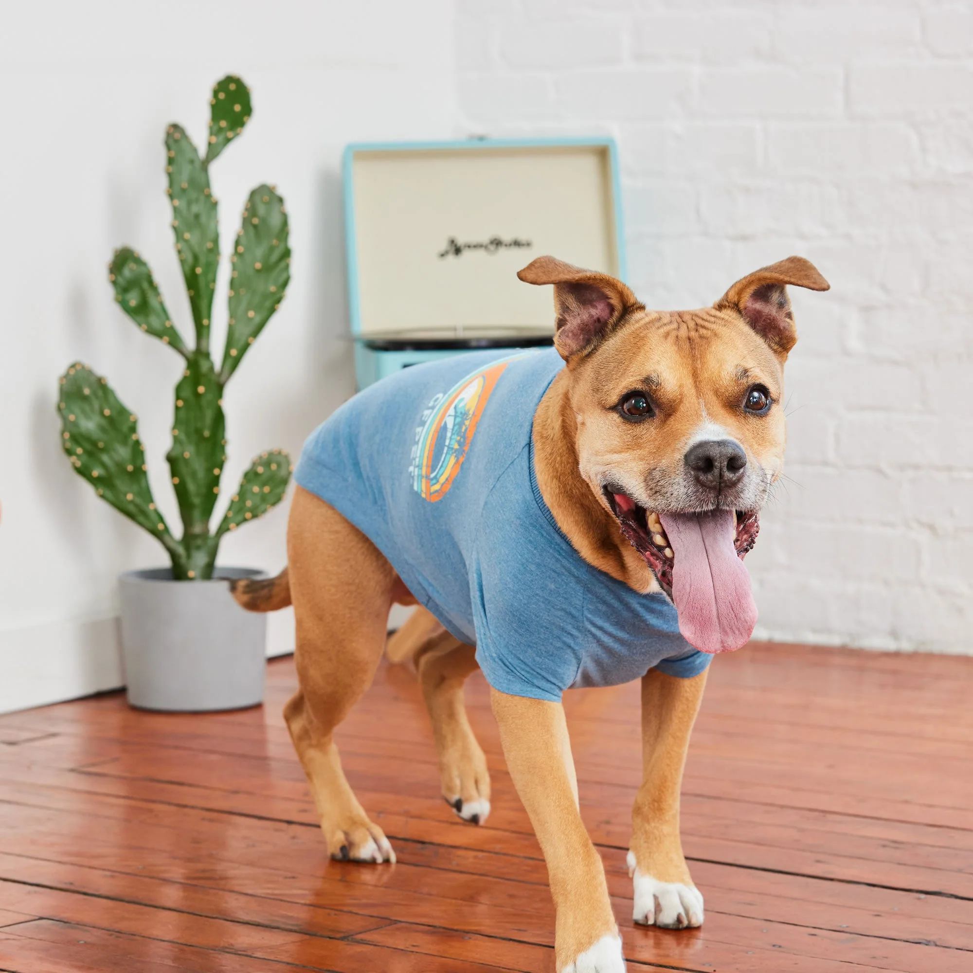 Graphic Tee - Blue - Image 6