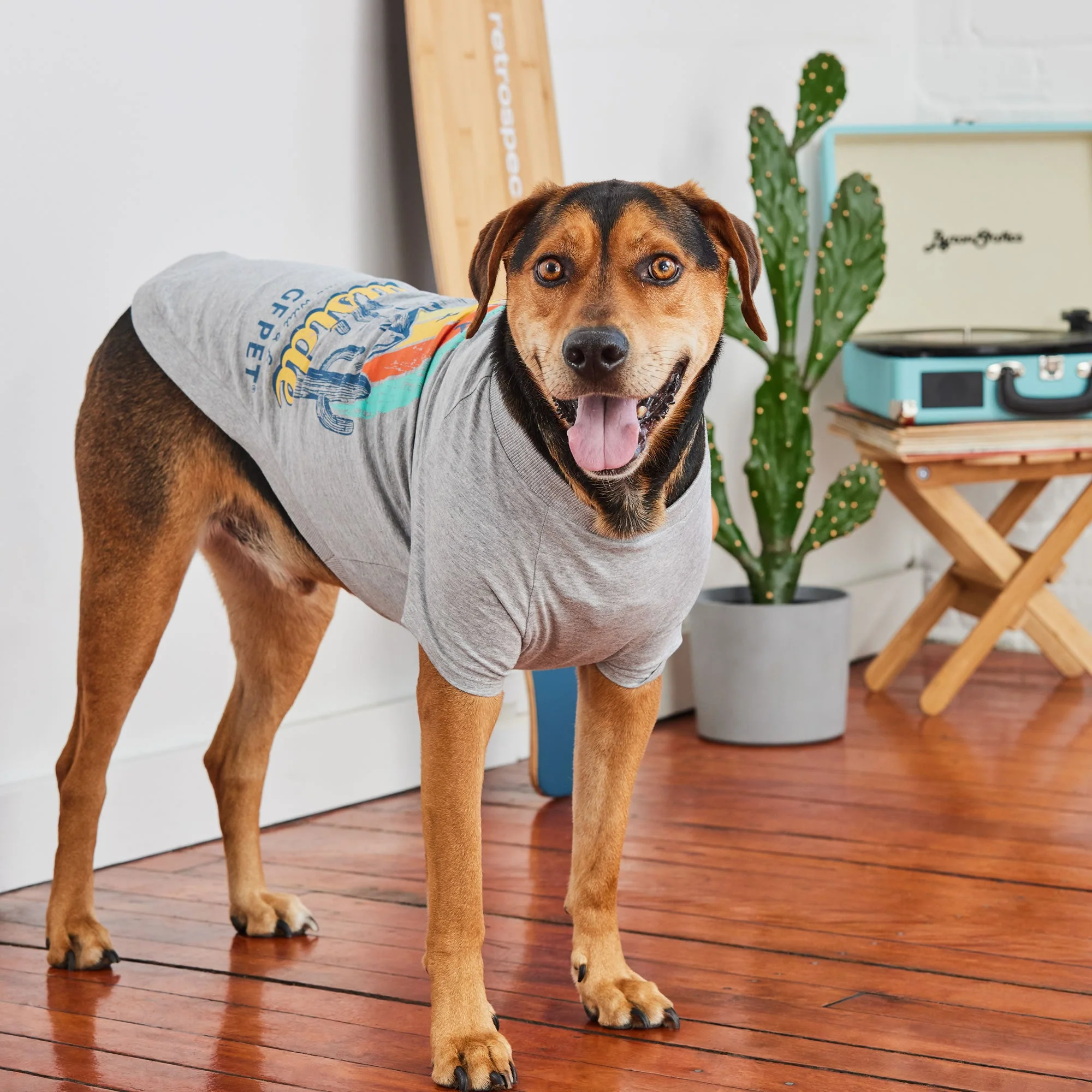 Graphic Tee - Grey - Image 4