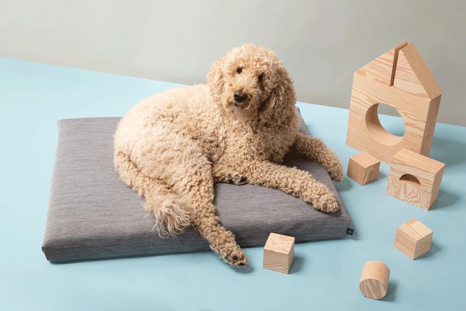 Gray | Modern Dog Bed or Bed Cover - Image 3