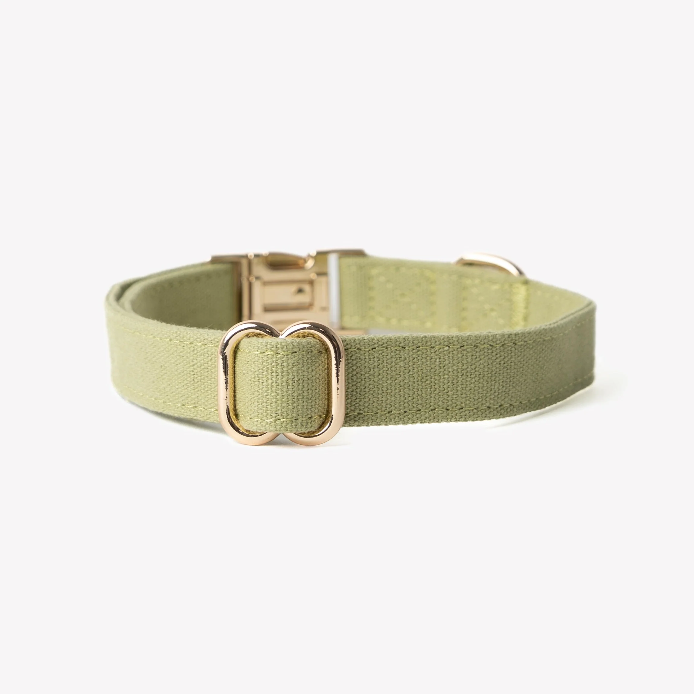 'Green' - Canvas Dog Collar - Image 2