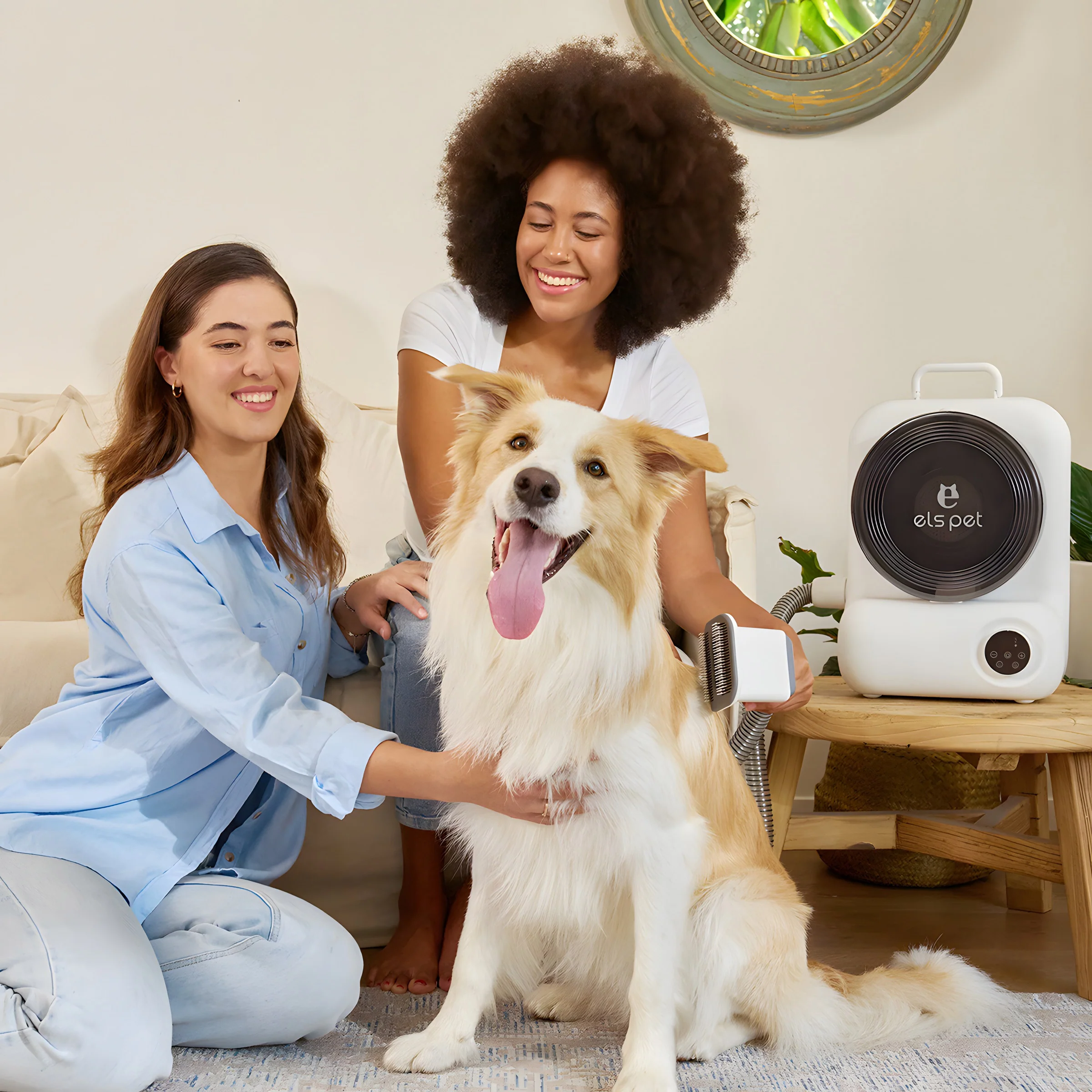 Grooming Kit With Vacuum - Image 6