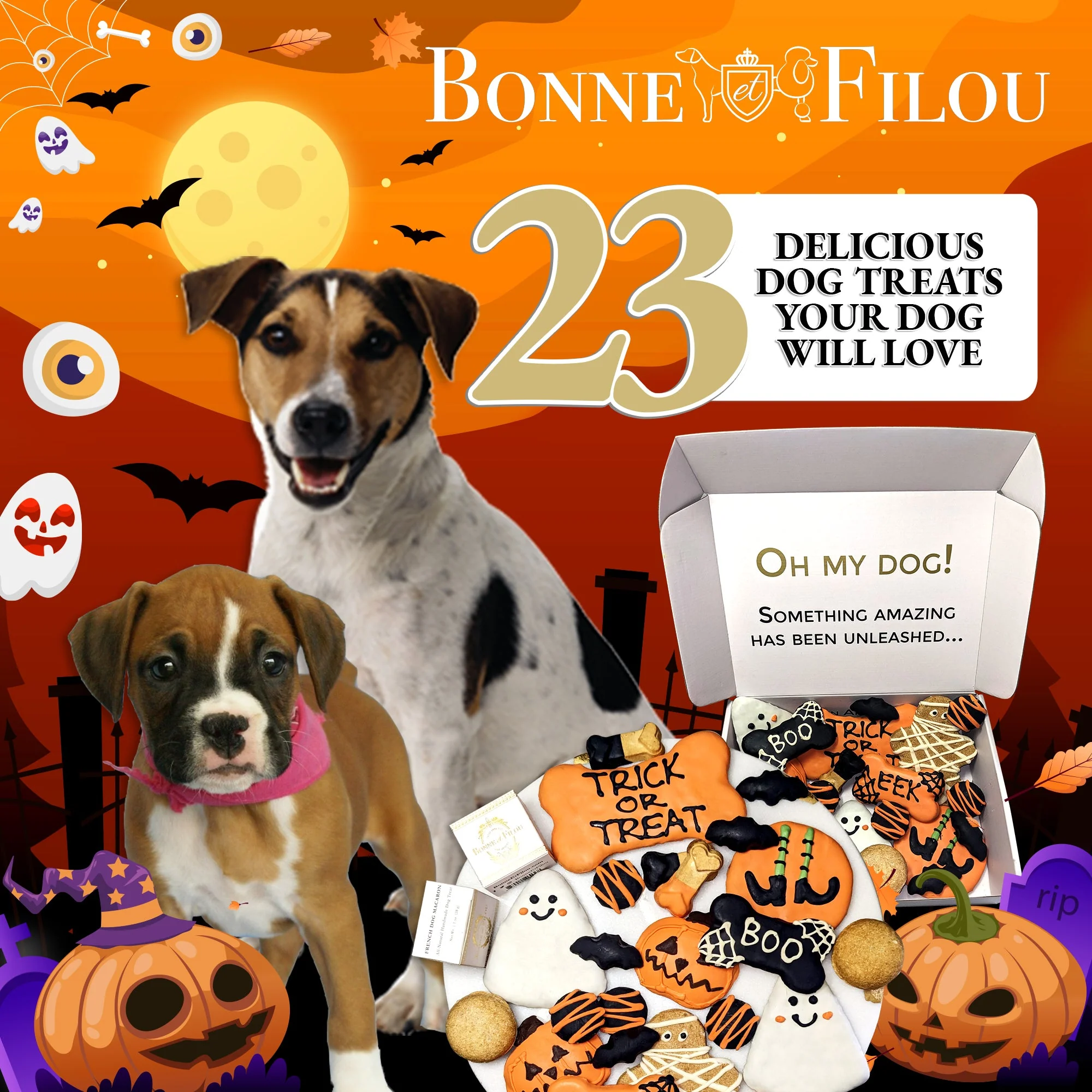 Halloween Themed Dog Treats Gift Box - Image 6