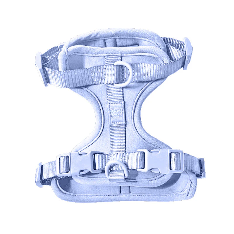Harness - Image 11