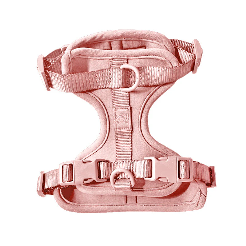 Harness - Image 13