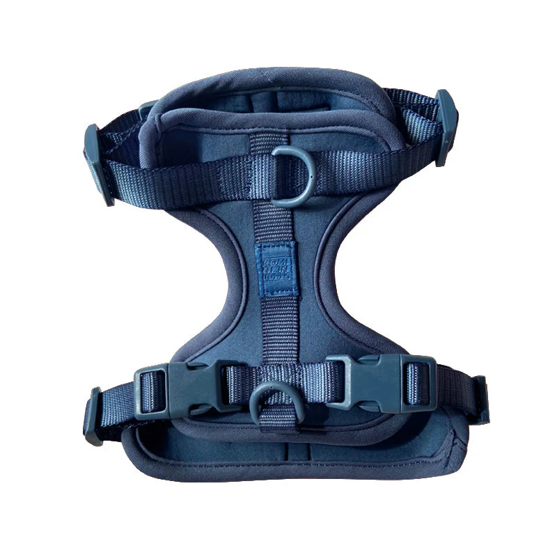 Harness - Image 23