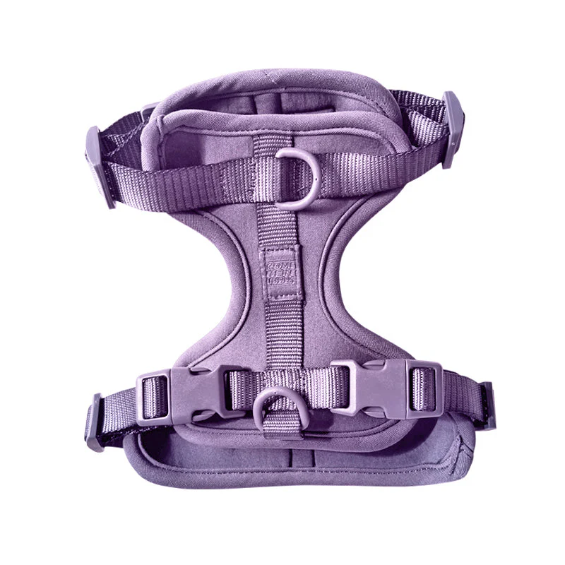 Harness - Image 25