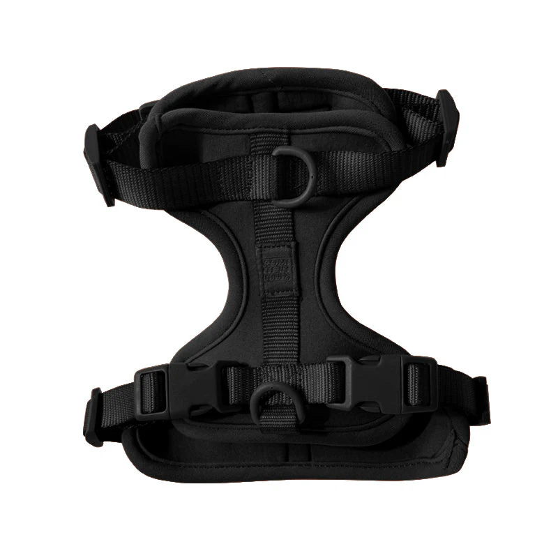 Harness - Image 27