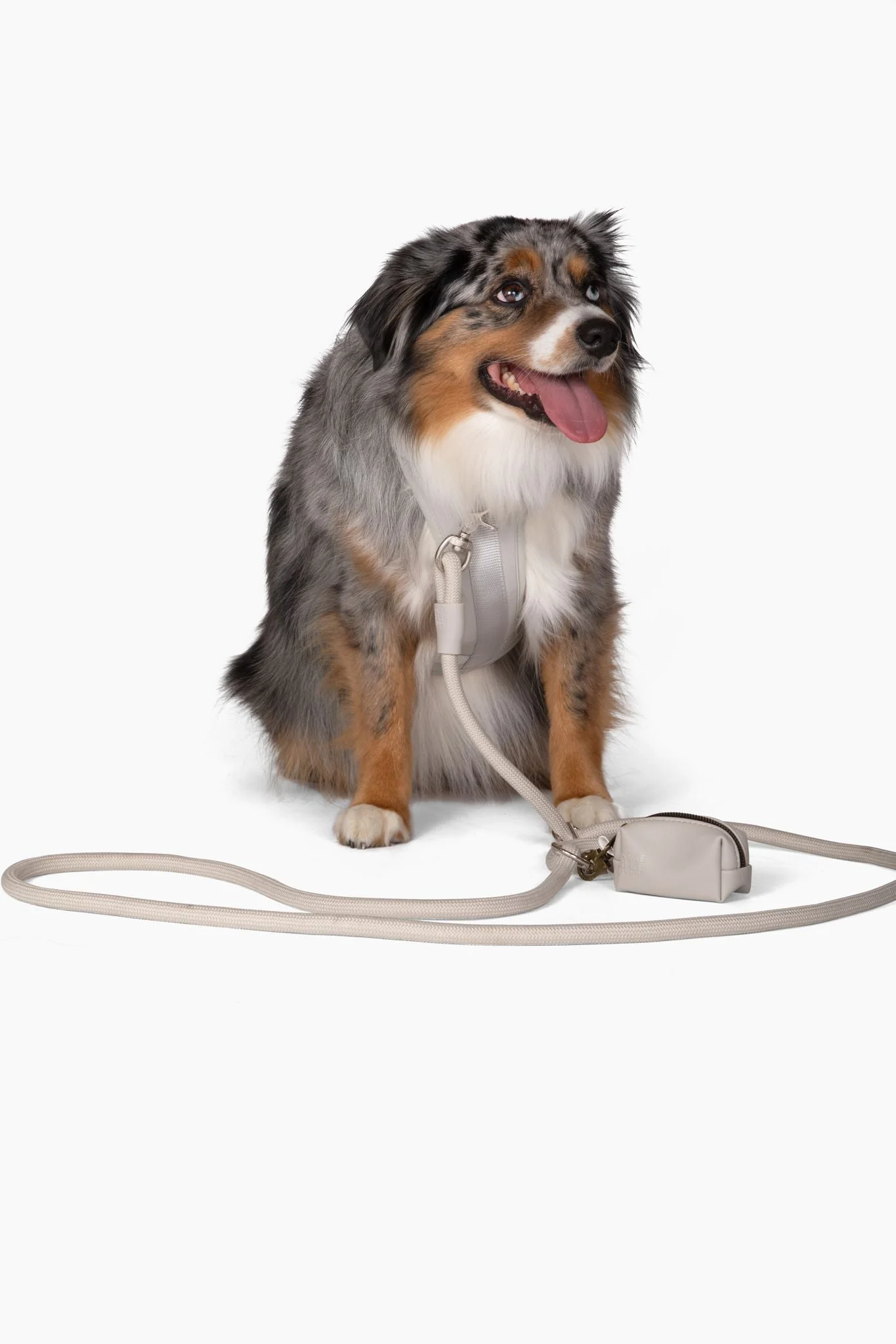 Harness - Image 30