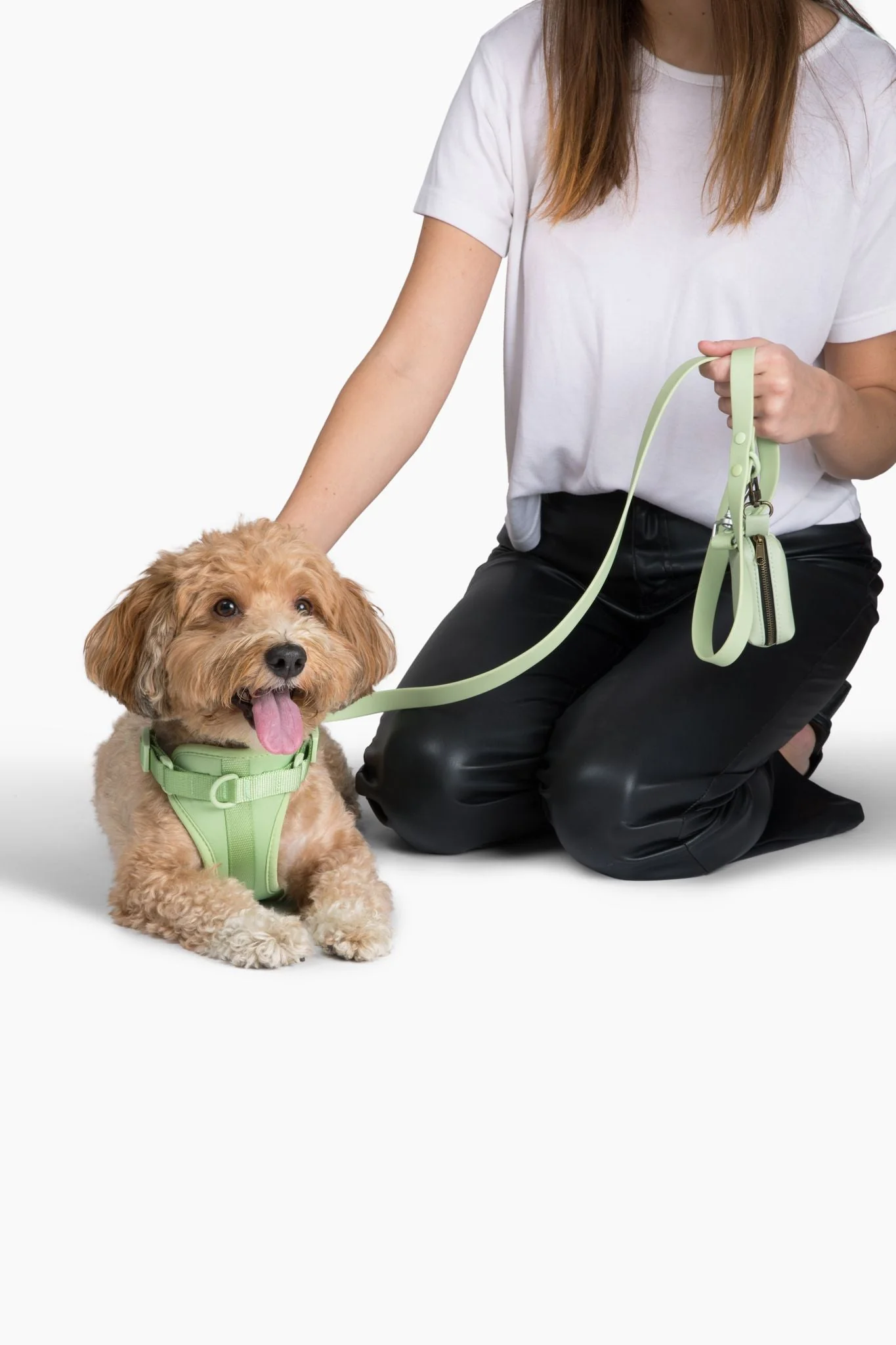 Harness - Image 6