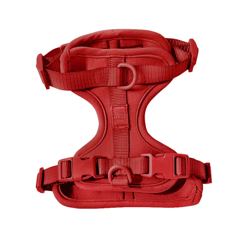 Harness - Image 7